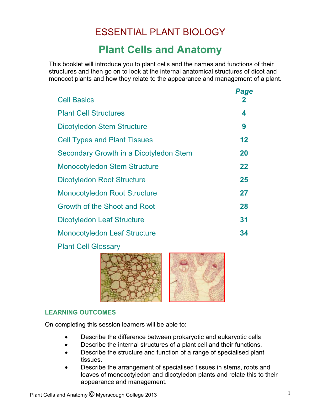 Plant Cells and Anatomy Booklet