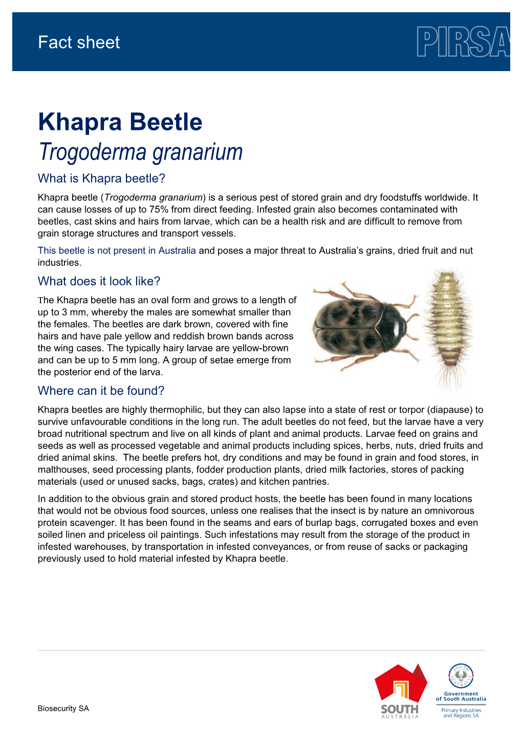 Khapra Beetle Trogoderma Granarium What Is Khapra Beetle? Khapra Beetle (Trogoderma Granarium) Is a Serious Pest of Stored Grain and Dry Foodstuffs Worldwide