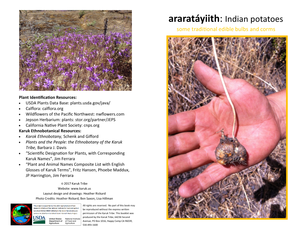 Araratáyiith: Indian Potatoes Some Traditional Edible Bulbs and Corms