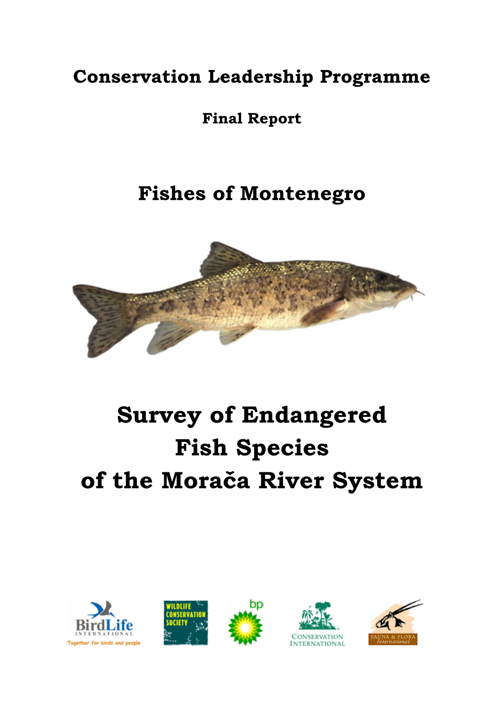 Fishes of Montenegro