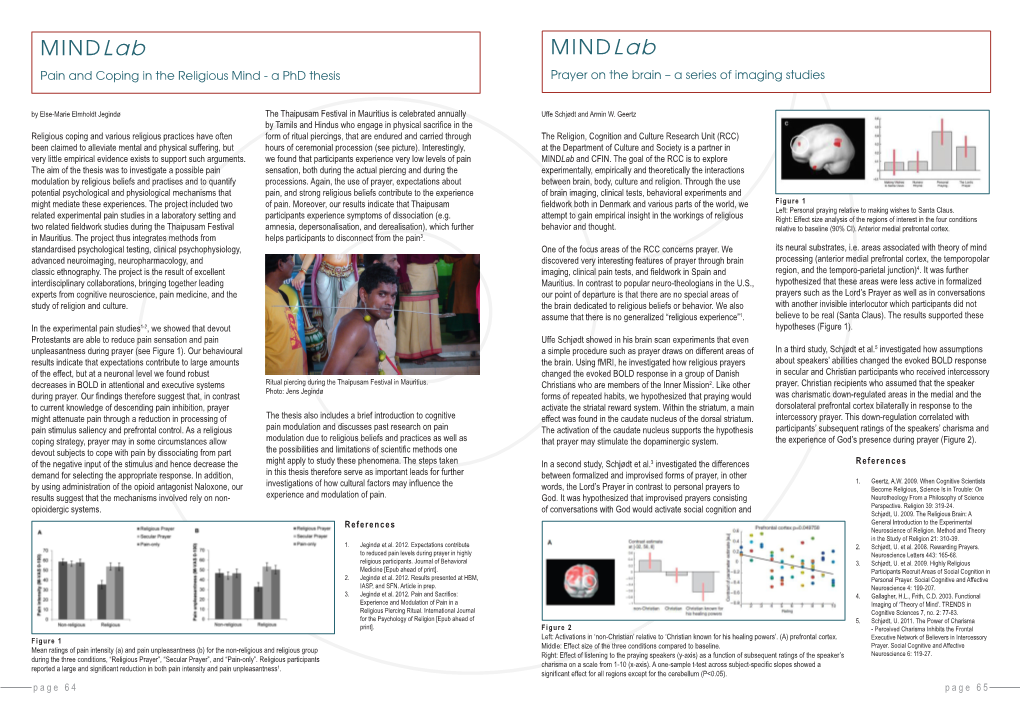 Mindlab Mindlab Pain and Coping in the Religious Mind - a Phd Thesis Prayer on the Brain – a Series of Imaging Studies