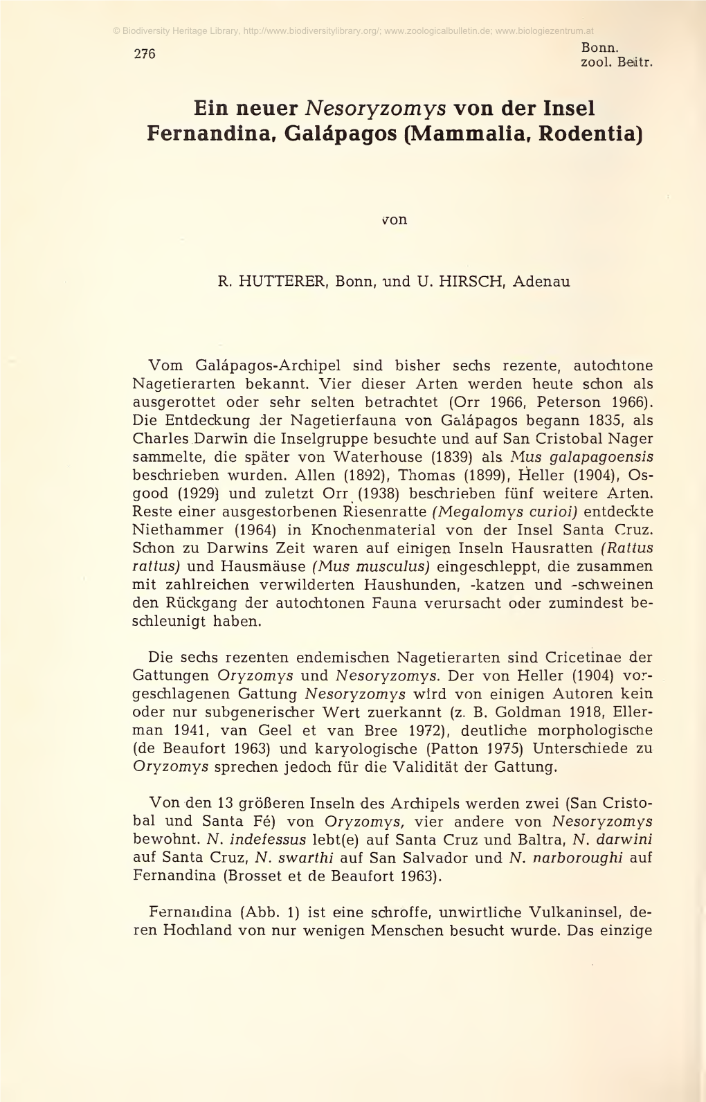 Zoologisches Forschungsinstitut Und Museum Alexander Koenig, Bonn; Aus Gewölle, Udo Hirsch Coll., Juni 1979, Insel Fernandina, 300 M, Galápagos, Ecuador