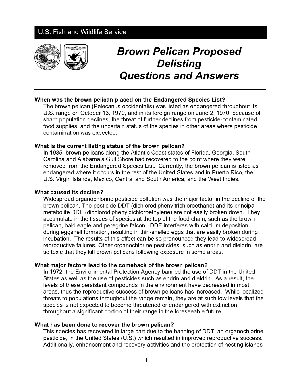 Brown Pelican Proposed Delisting Questions and Answers