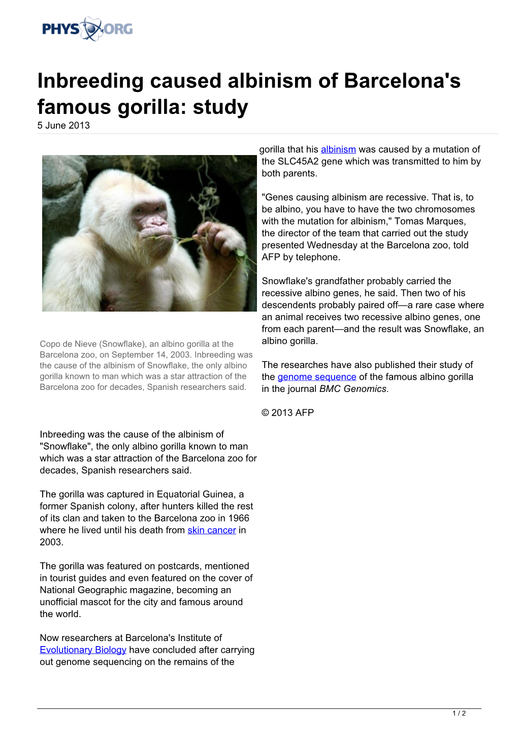 Inbreeding Caused Albinism of Barcelona's Famous Gorilla: Study 5 June 2013
