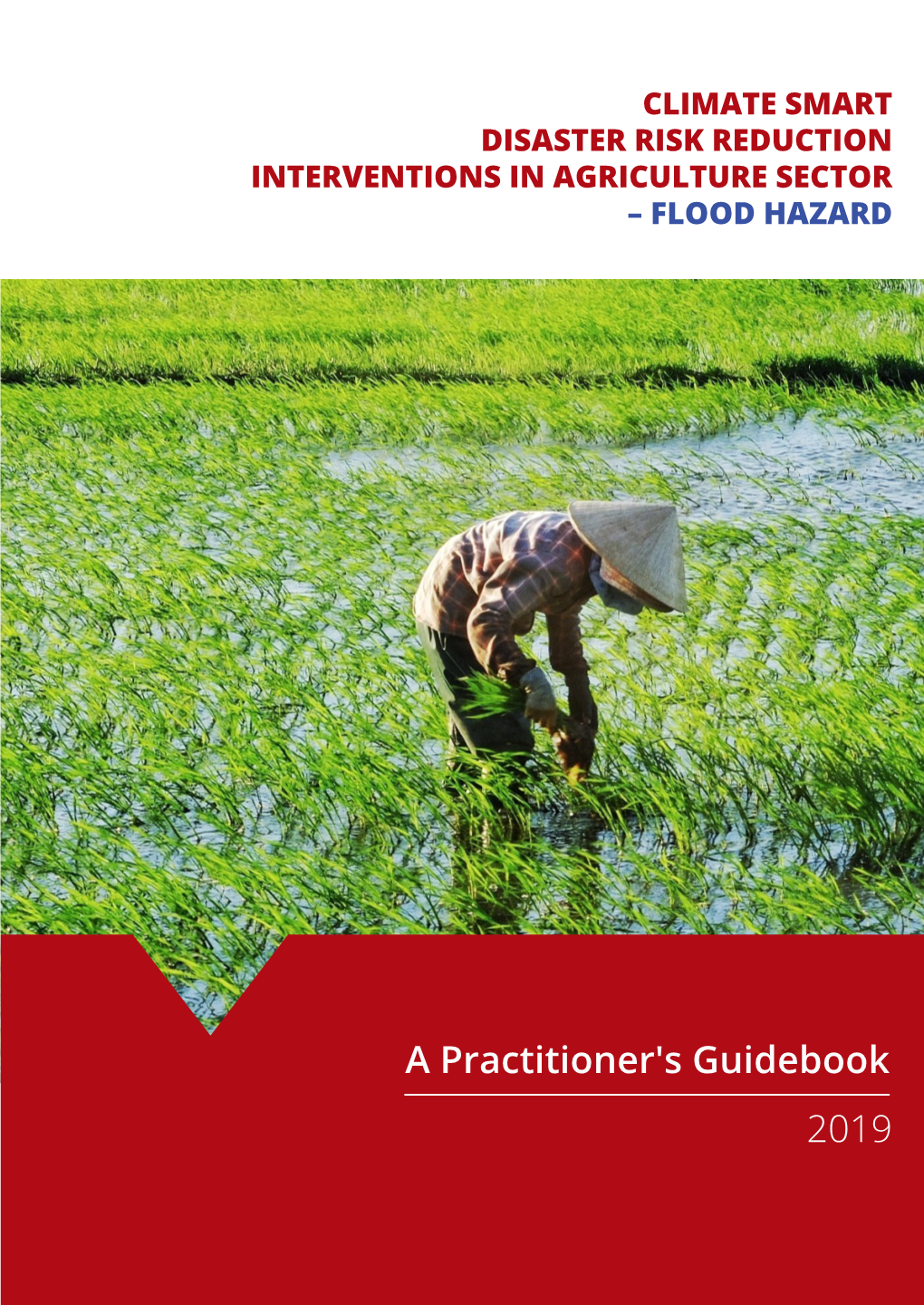 A Practitioner's Guidebook 2019