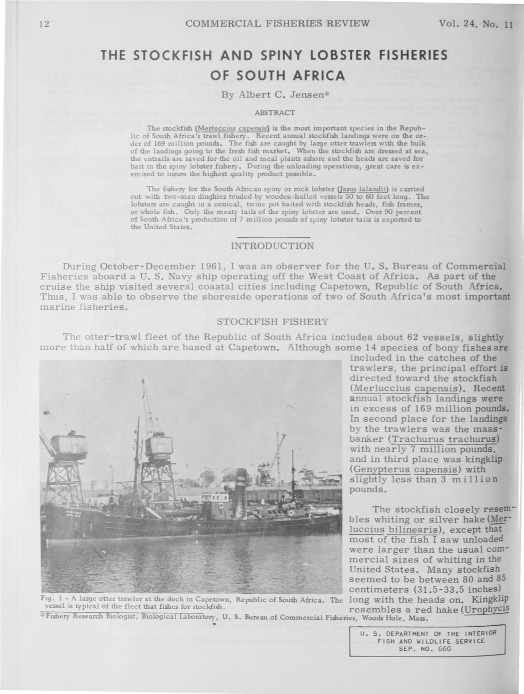 THE STOCKFISH and SPINY LOBSTER FISHERIES of SOUTH AFRICA by Albert C