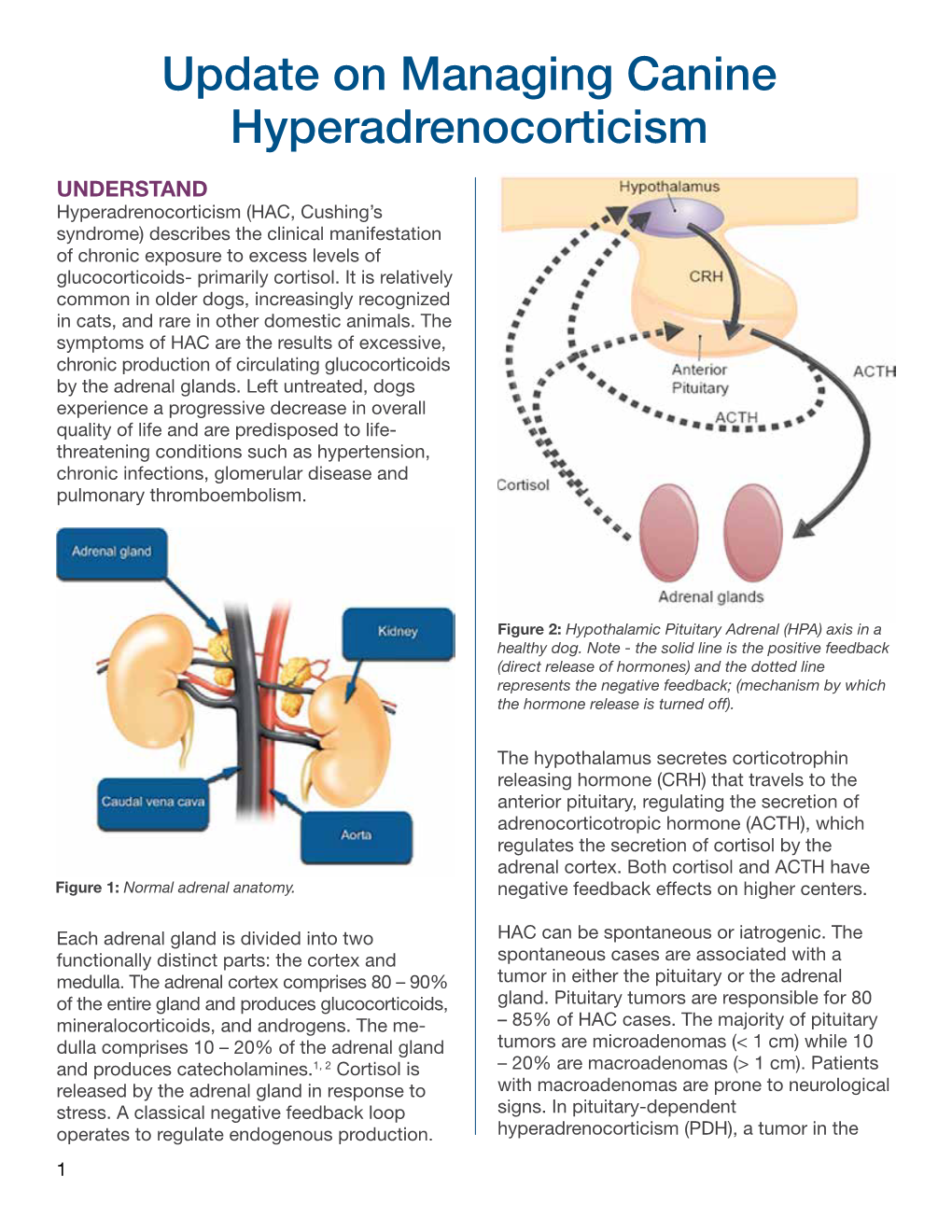 Update on Managing Canine Hyperadrenocorticism