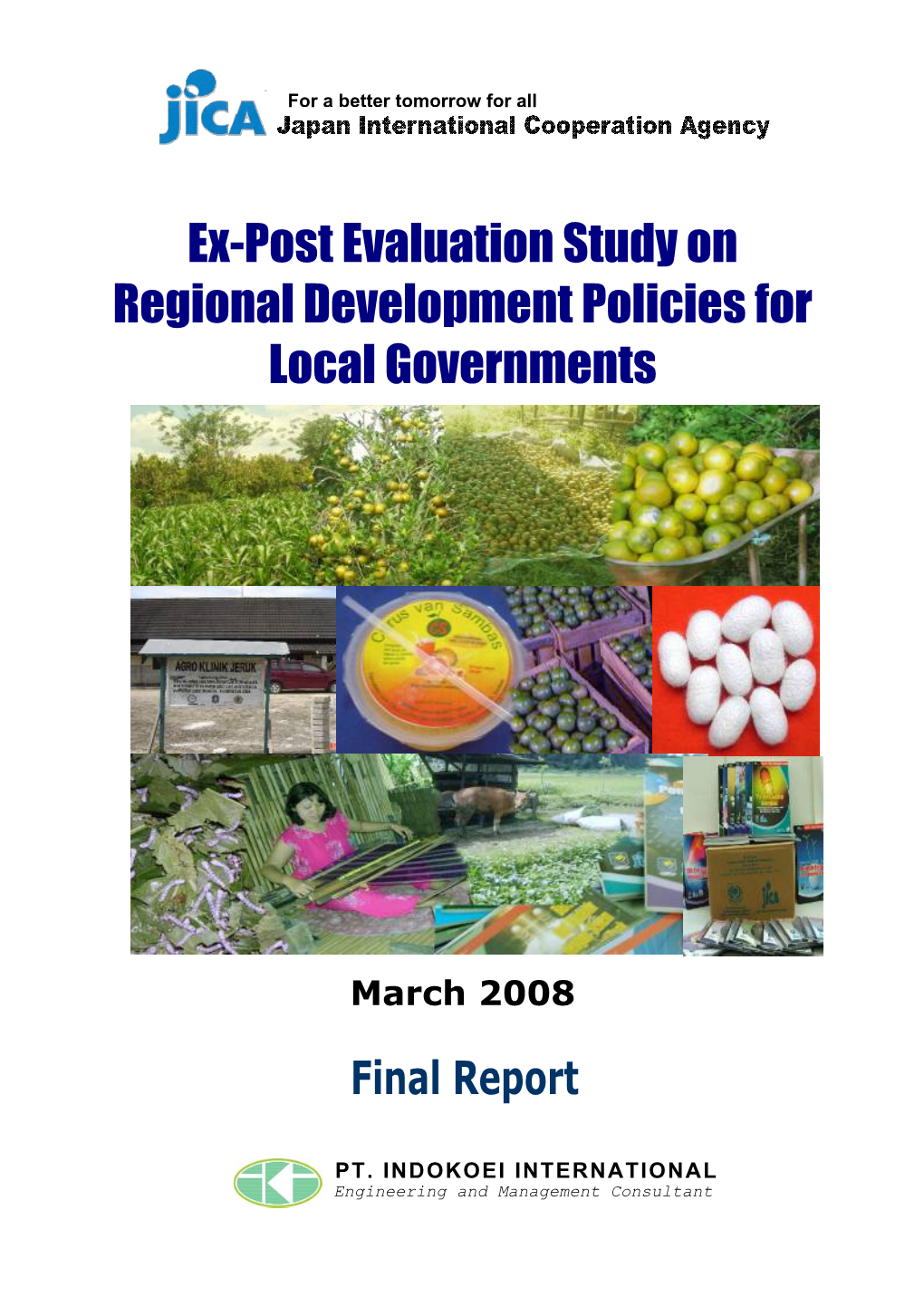 Ex-Post Evaluation Study on Regional Development Policies for Local Governments