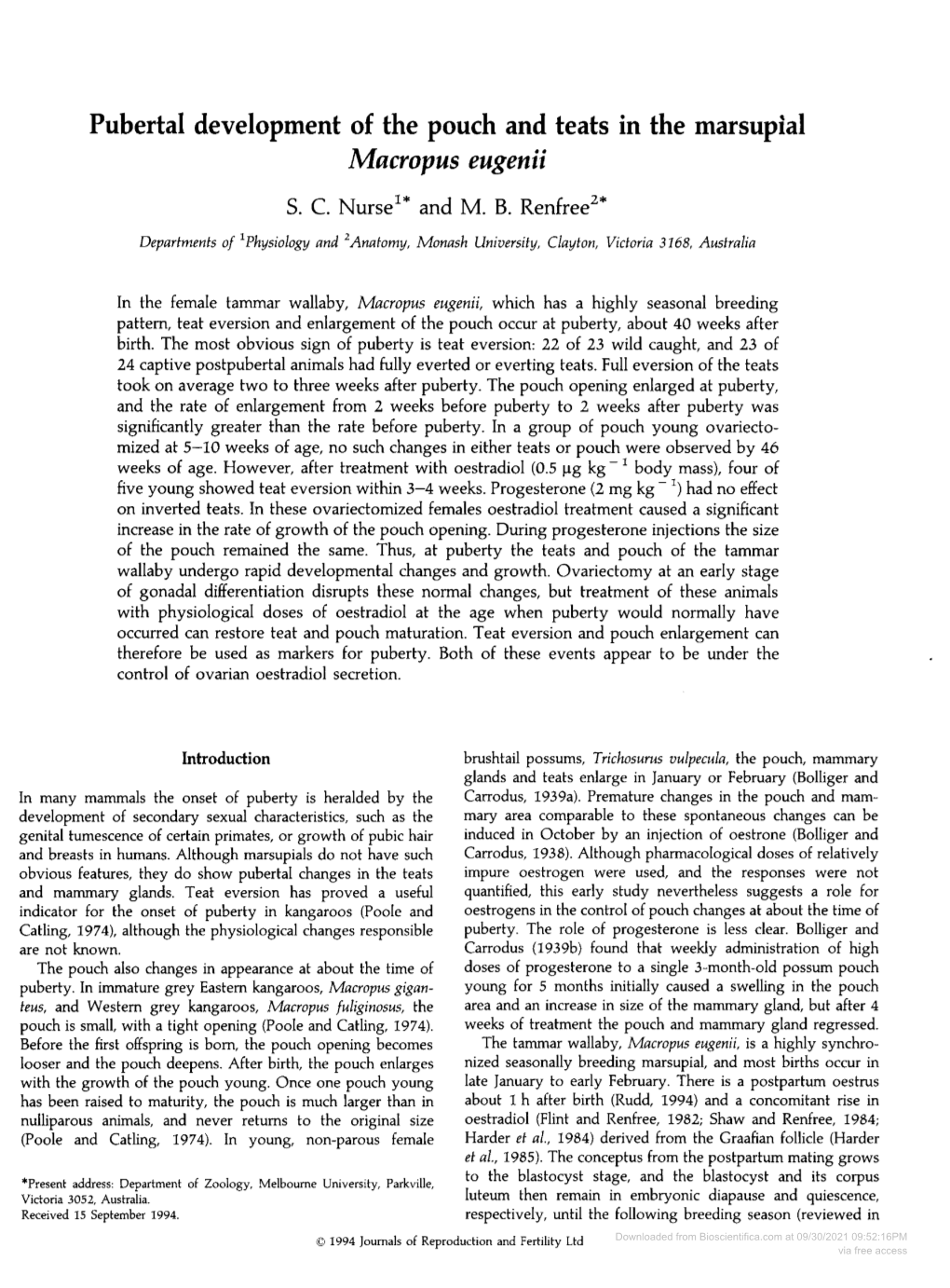 Pubertal Development of the Pouch and Teats in the Marsupial Macropus Eugenii S