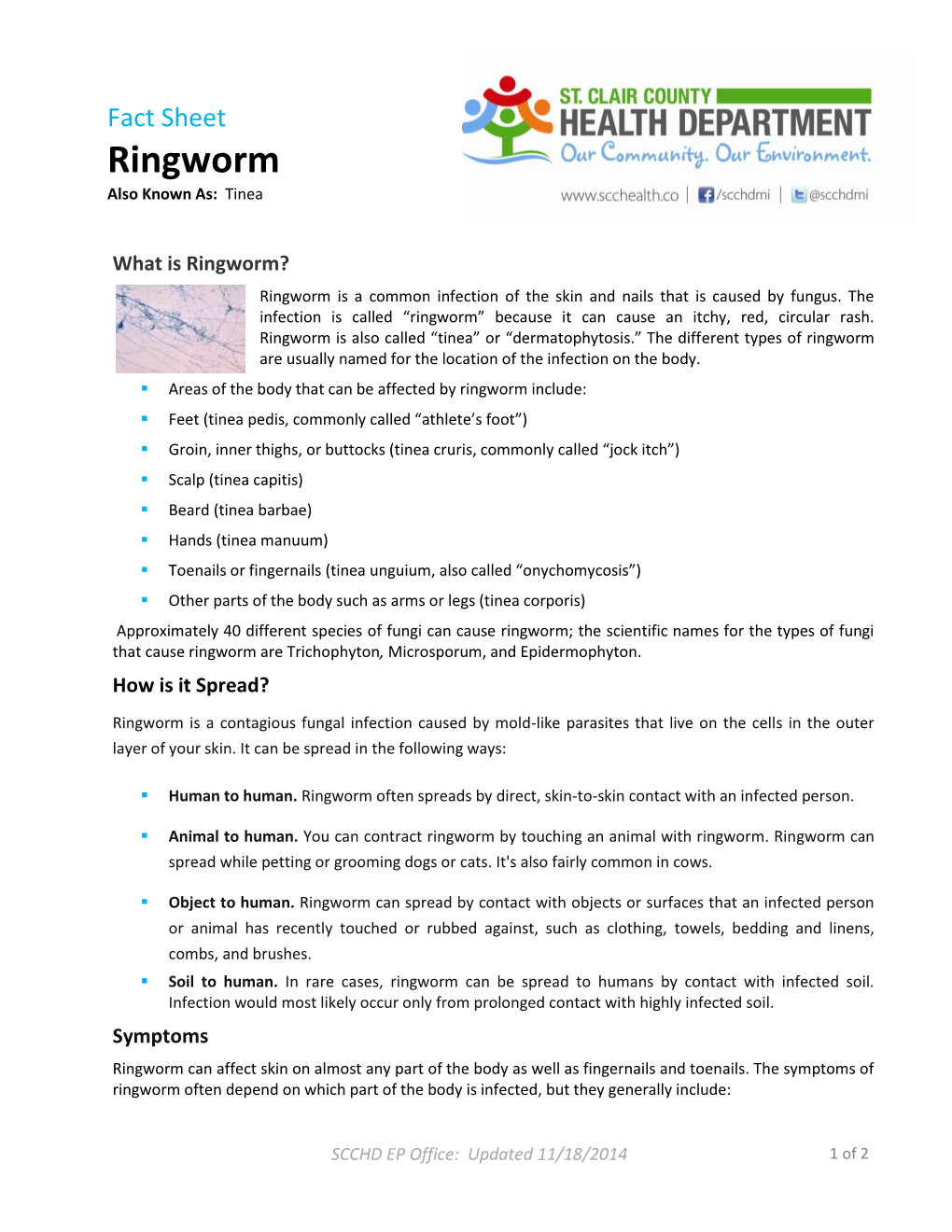 Ringworm Also Known As: Tinea