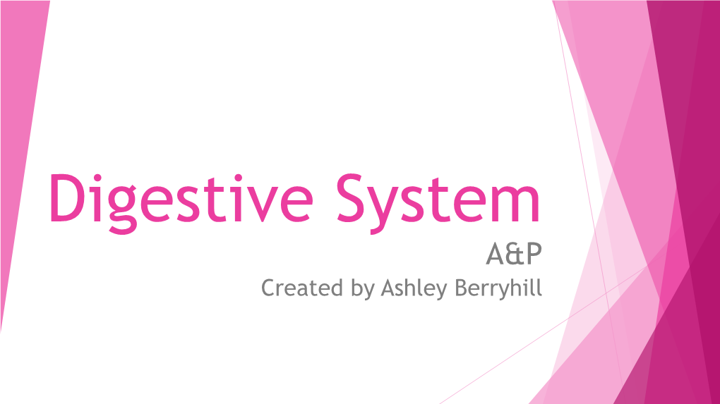 Digestive System A&P Created by Ashley Berryhill Digestive System