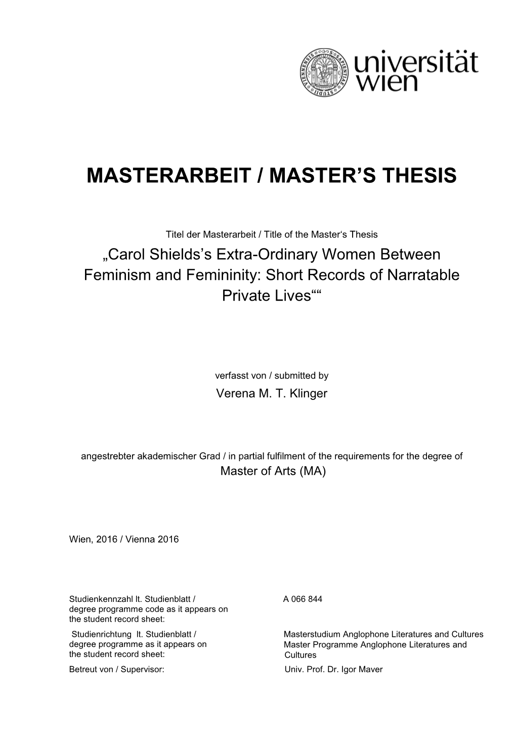 Masterarbeit / Master's Thesis