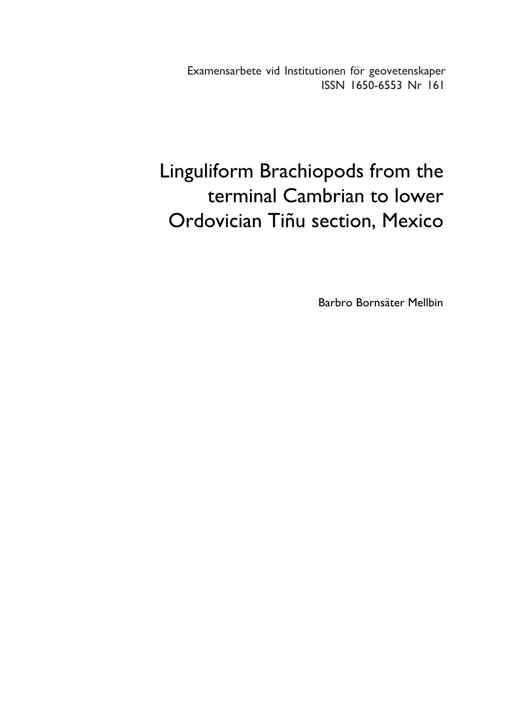 Linguliform Brachiopods from the Terminal Cambrian to Lower Ordovician Tiñu Section, Mexico