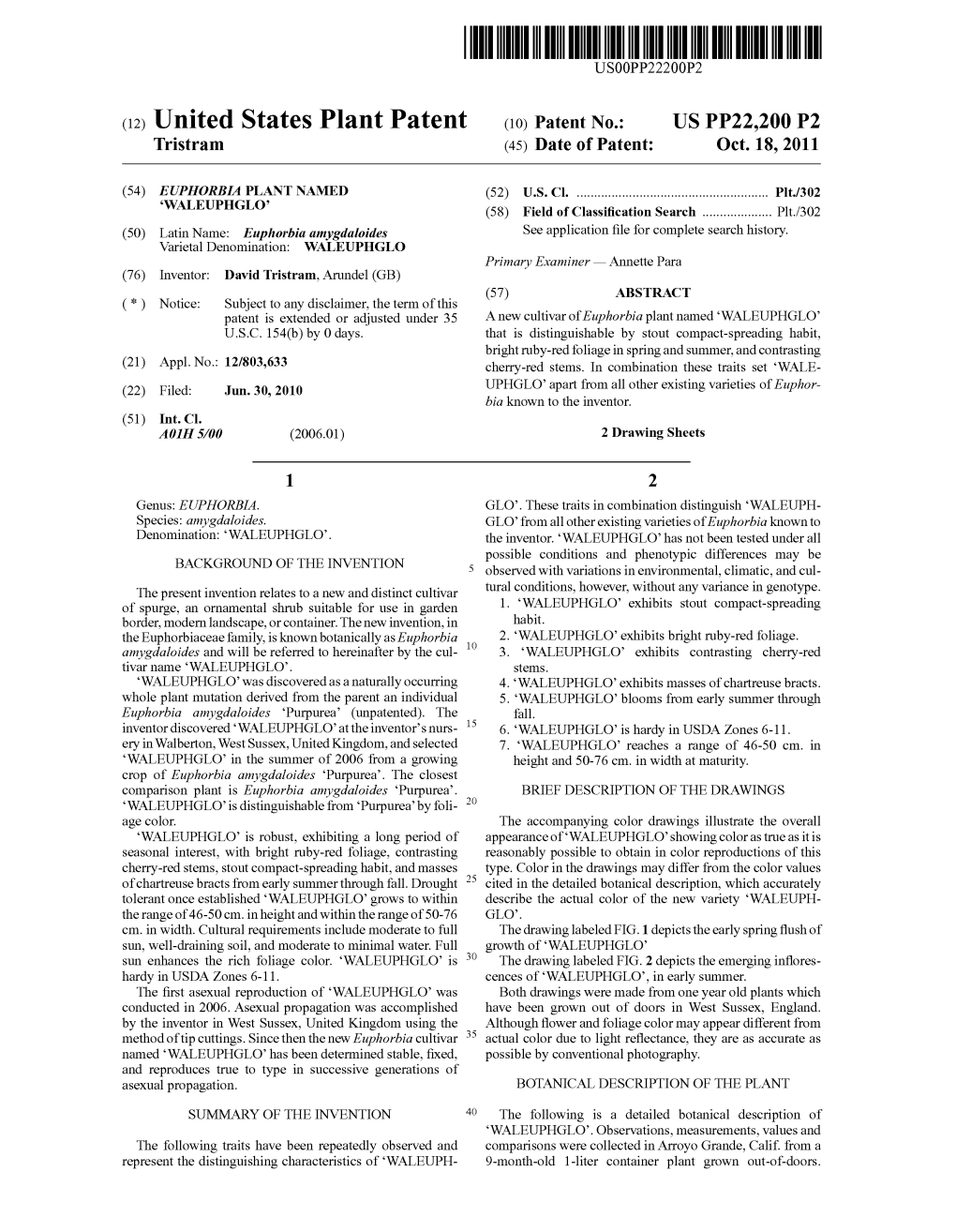 (12) United States Plant Patent (10) Patent N0.: US PP22,200 P2 Tristram (45) Date of Patent: Oct