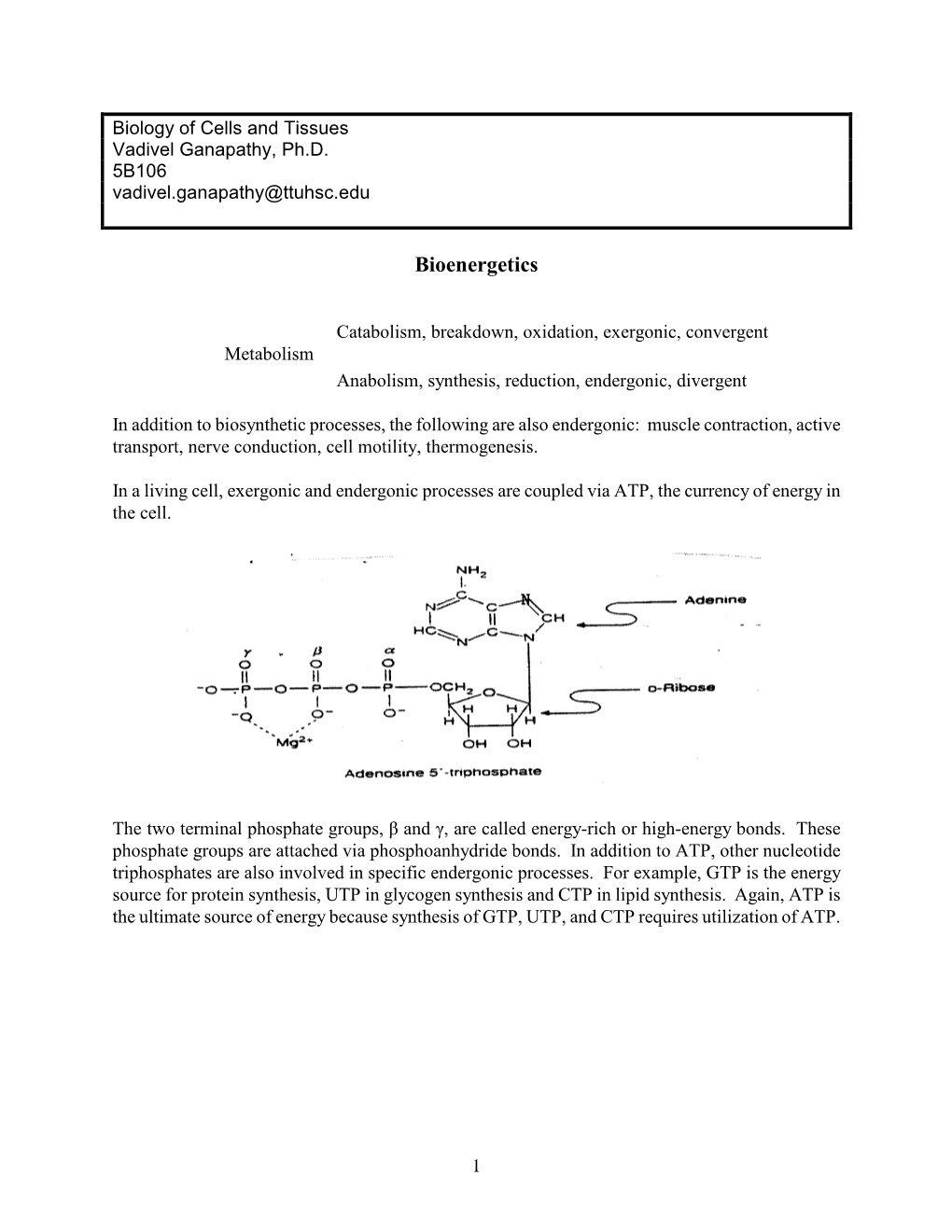 ITD5135 Cellular and Systems Processes