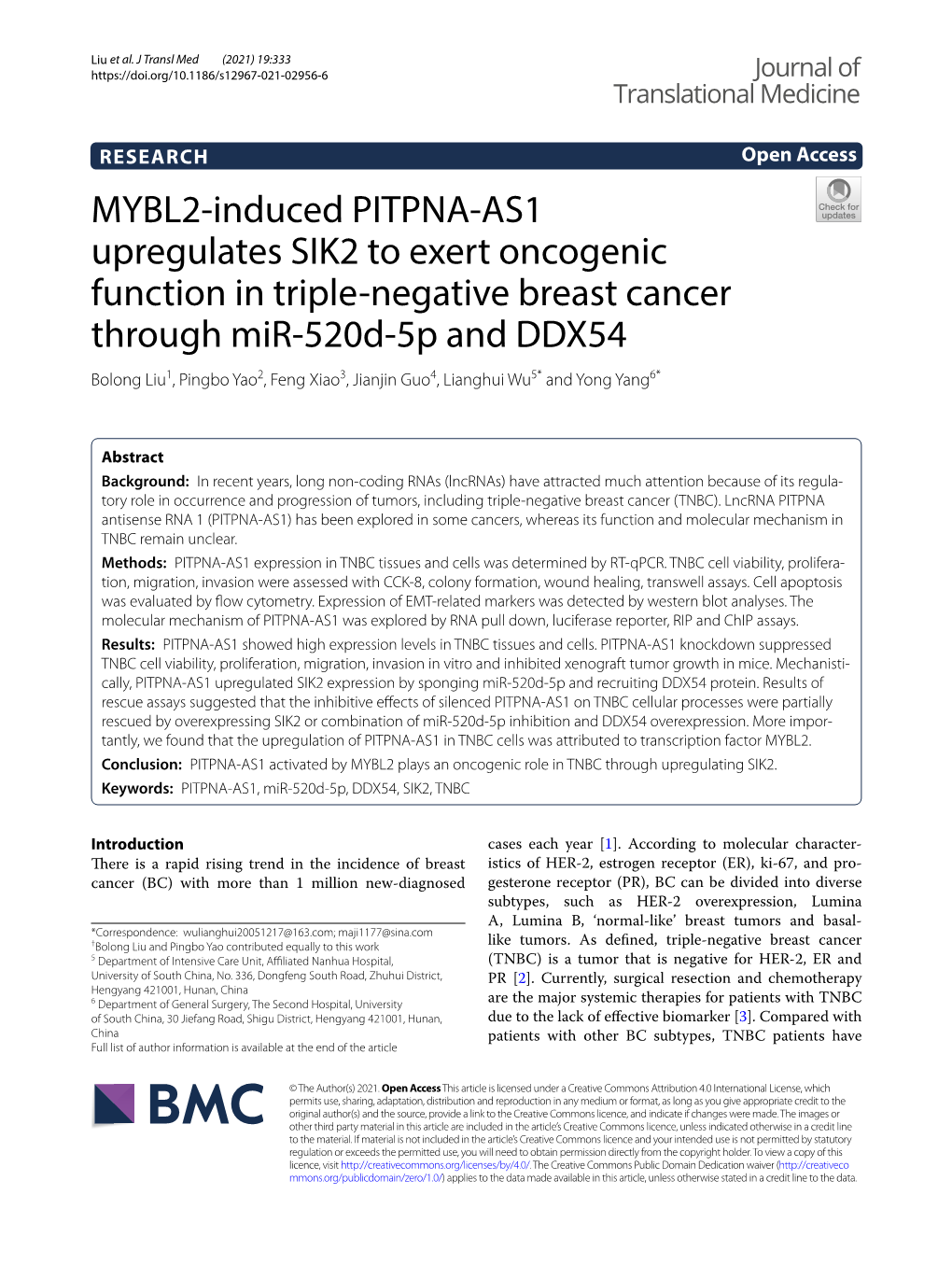 MYBL2-Induced PITPNA-AS1 Upregulates SIK2 to Exert
