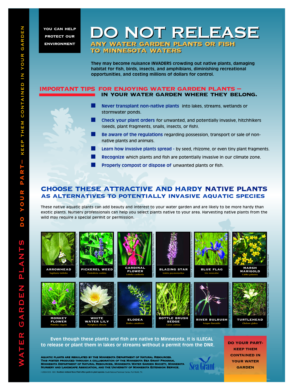 Choose These Attractive and Hardy Native Plants R As Alternatives to Potentially Invasive Aquatic Species U