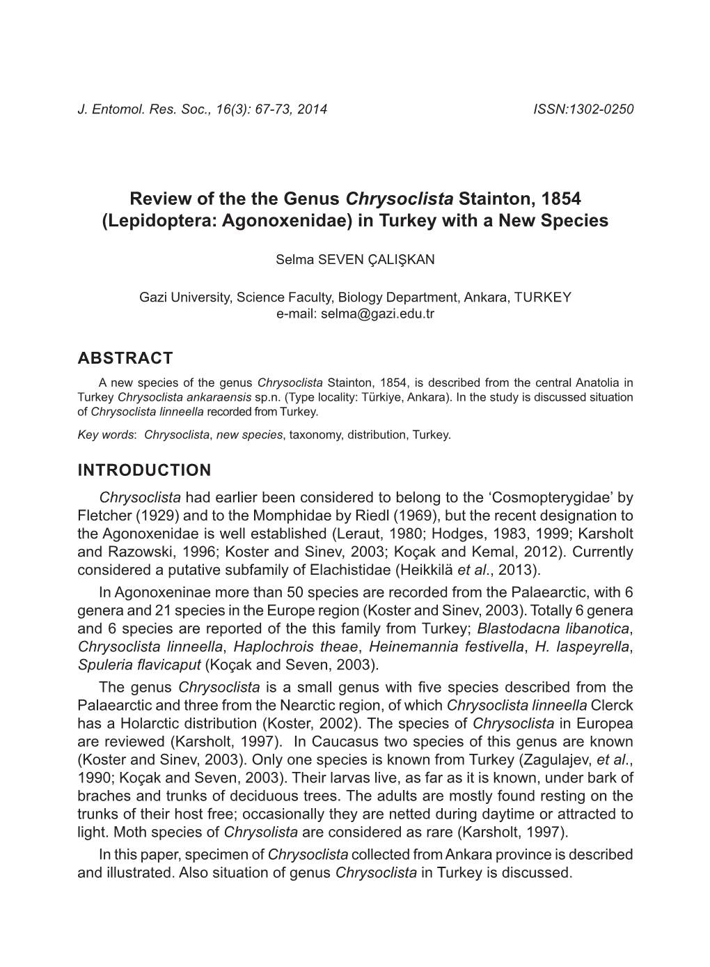 Review of the the Genus Chrysoclista Stainton, 1854 (Lepidoptera: Agonoxenidae) in Turkey with a New Species