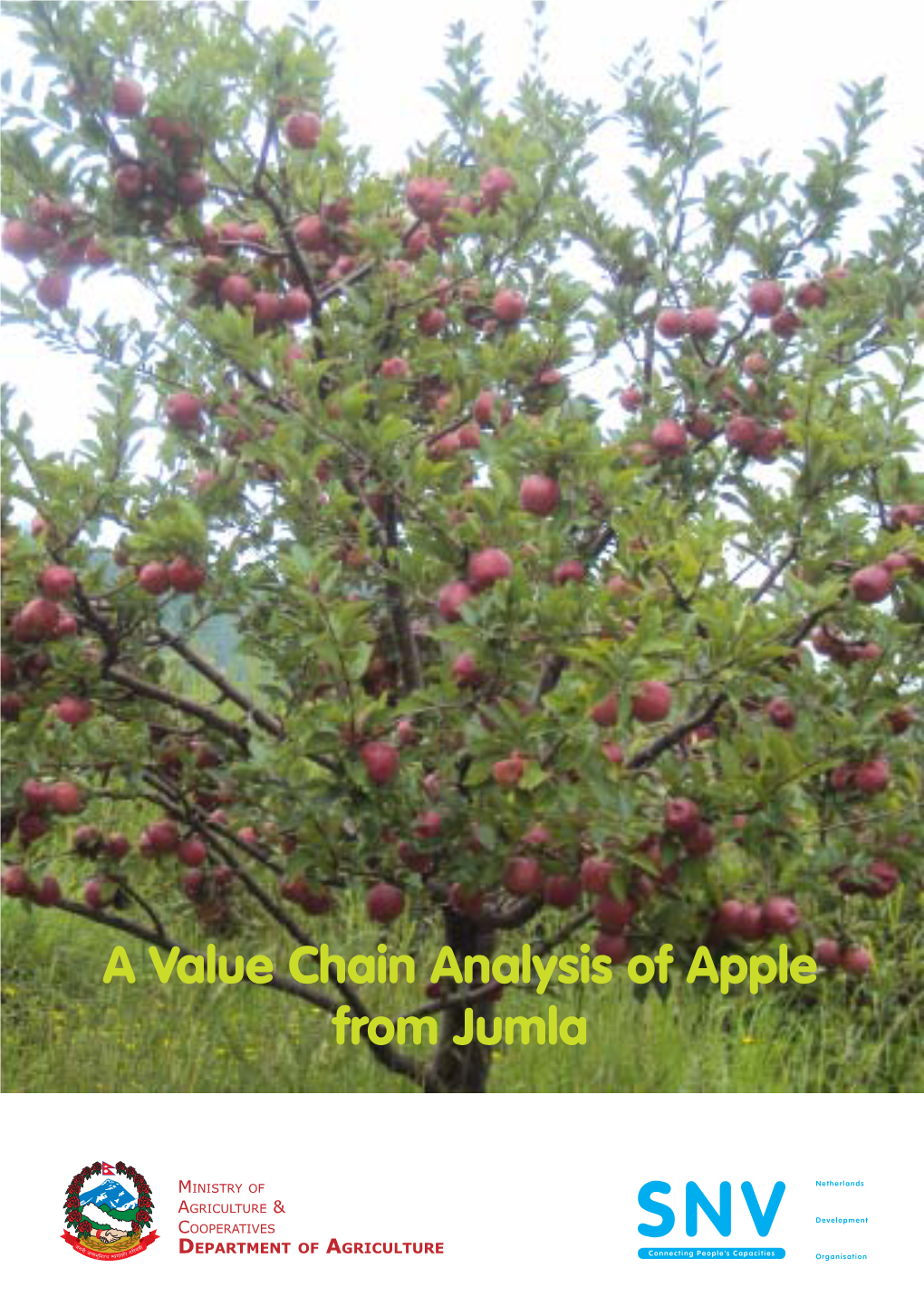 A Value Chain Analysis of Apple from Jumla