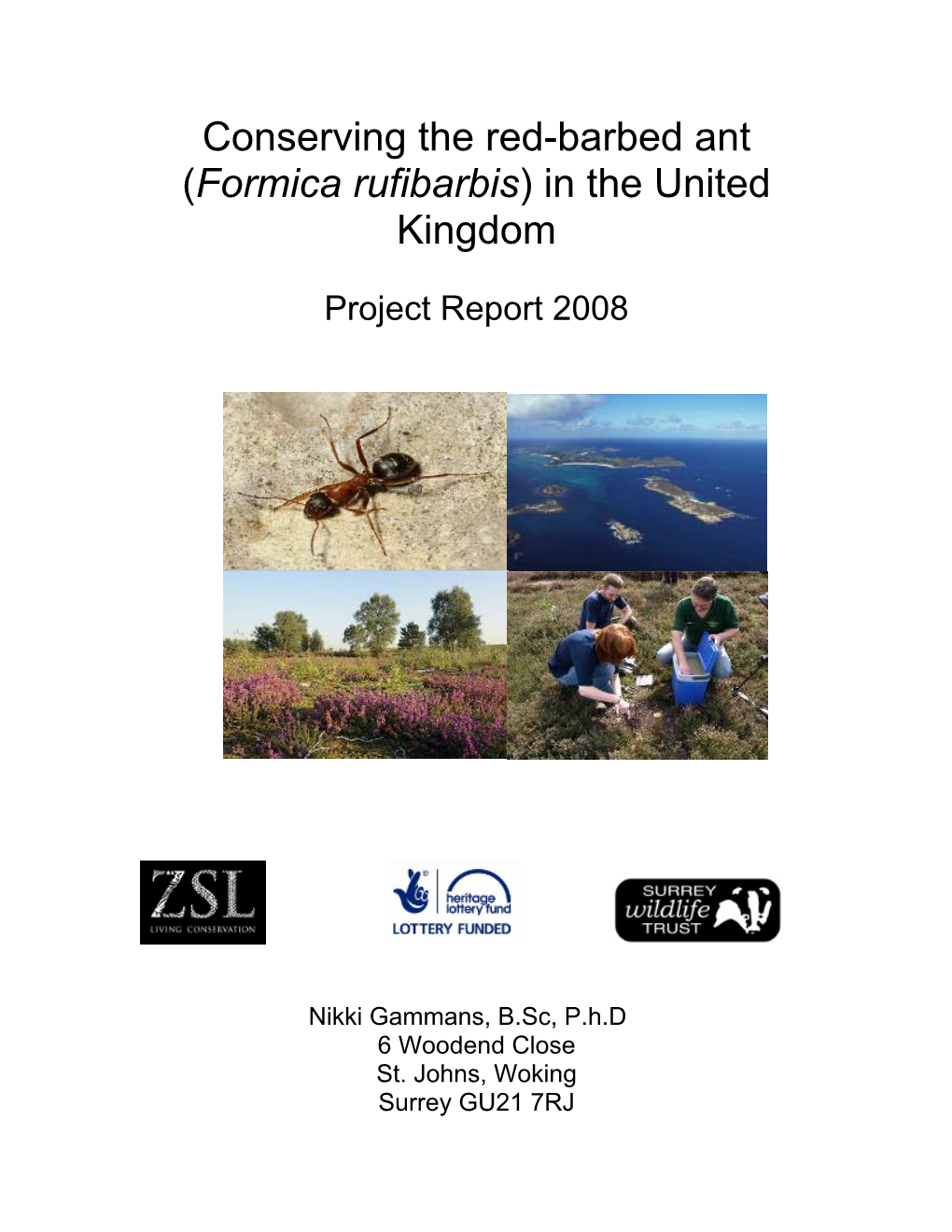 Conserving the Red-Barbed Ant (Formica Rufibarbis) in the United Kingdom