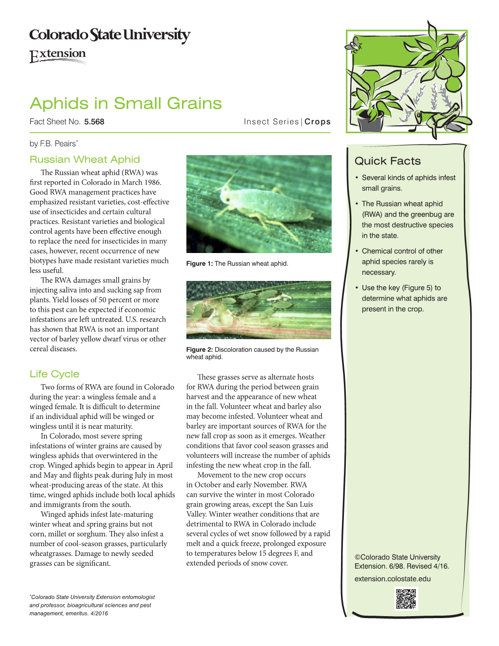 Aphids in Small Grains Fact Sheet No