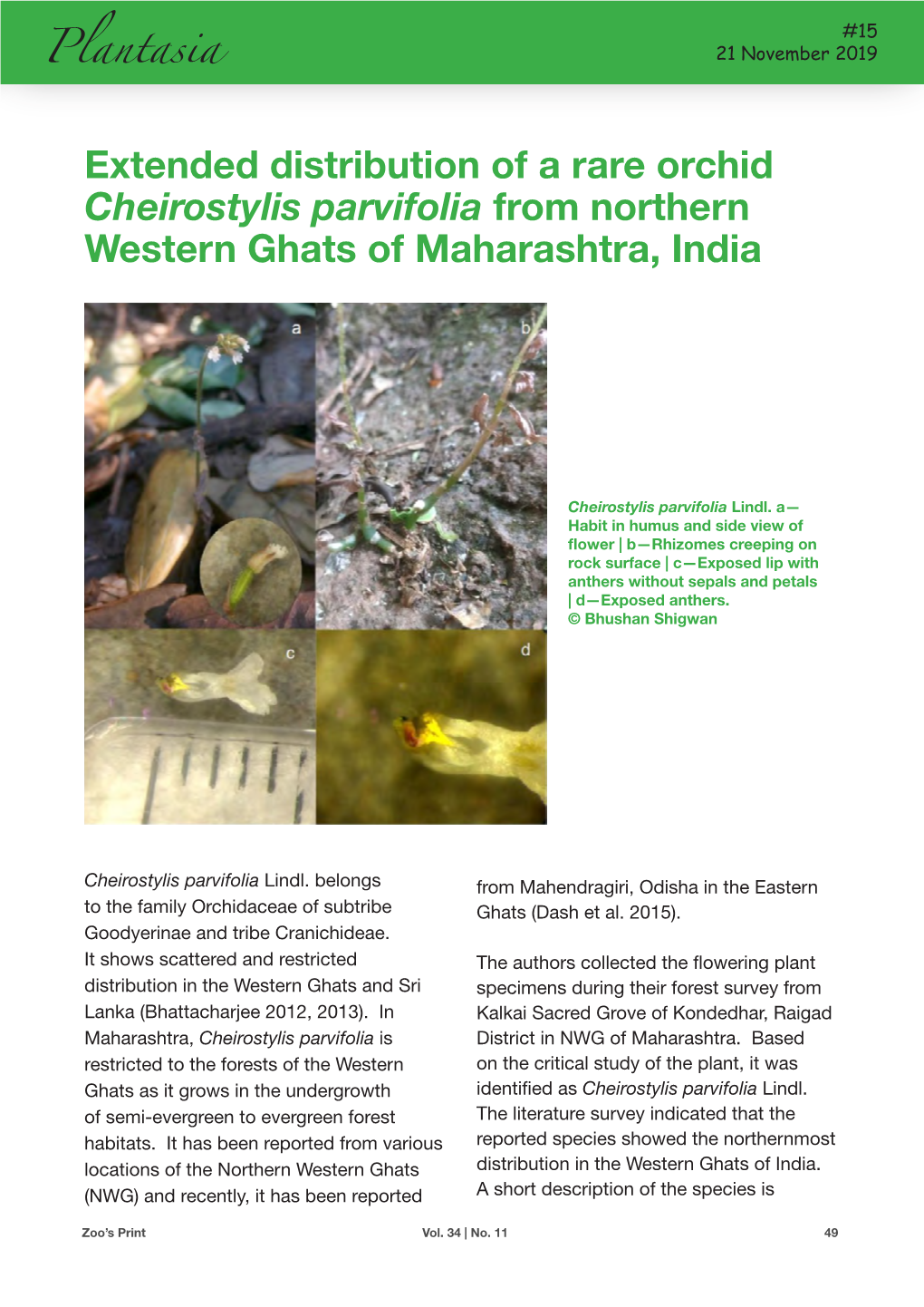 Extended Distribution of a Rare Orchid Cheirostylis Parvifolia from Northern Western Ghats of Maharashtra, India