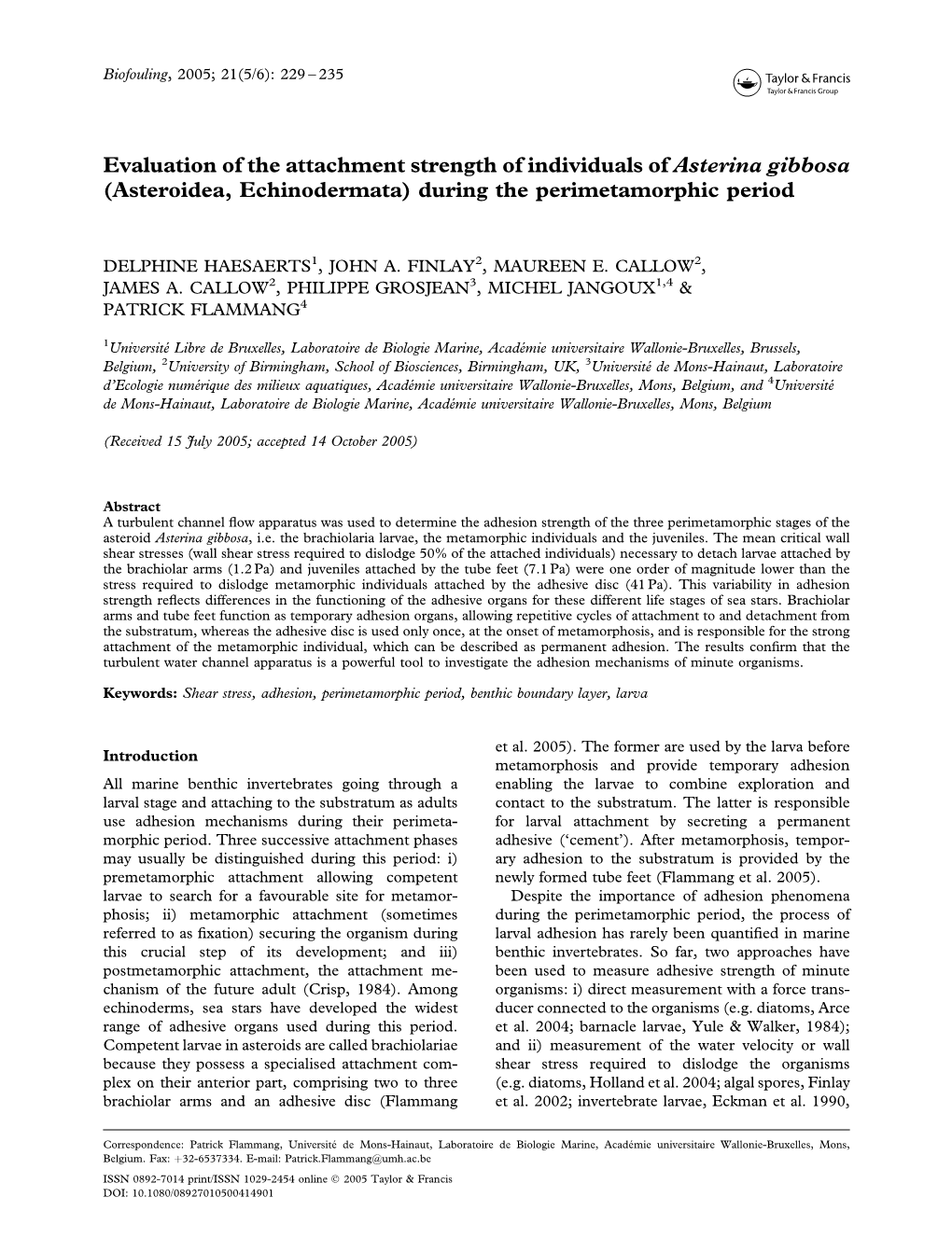 Evaluation of the Attachment Strength of Individuals of Asterina Gibbosa (Asteroidea, Echinodermata) During the Perimetamorphic Period