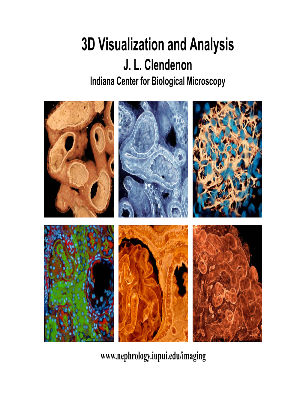 3D Visualization and Analysis J