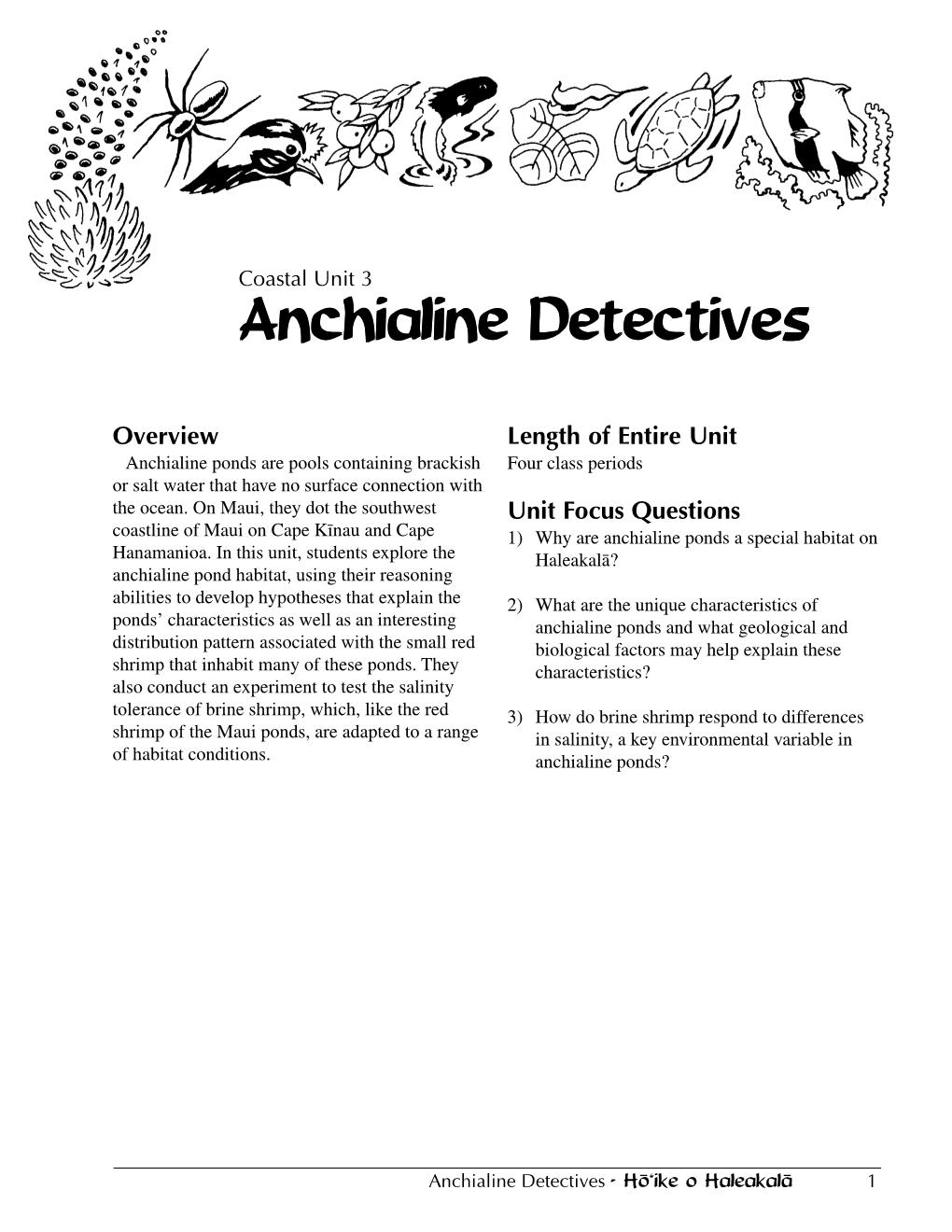 Anchialine Detectivesdetectives