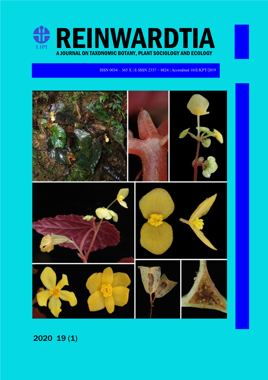 Reinwardtia a Journal on Taxonomic Botany, Plant Sociology and Ecology
