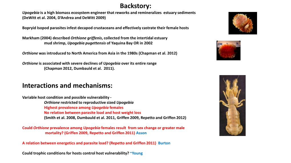 Backstory: Interactions and Mechanisms