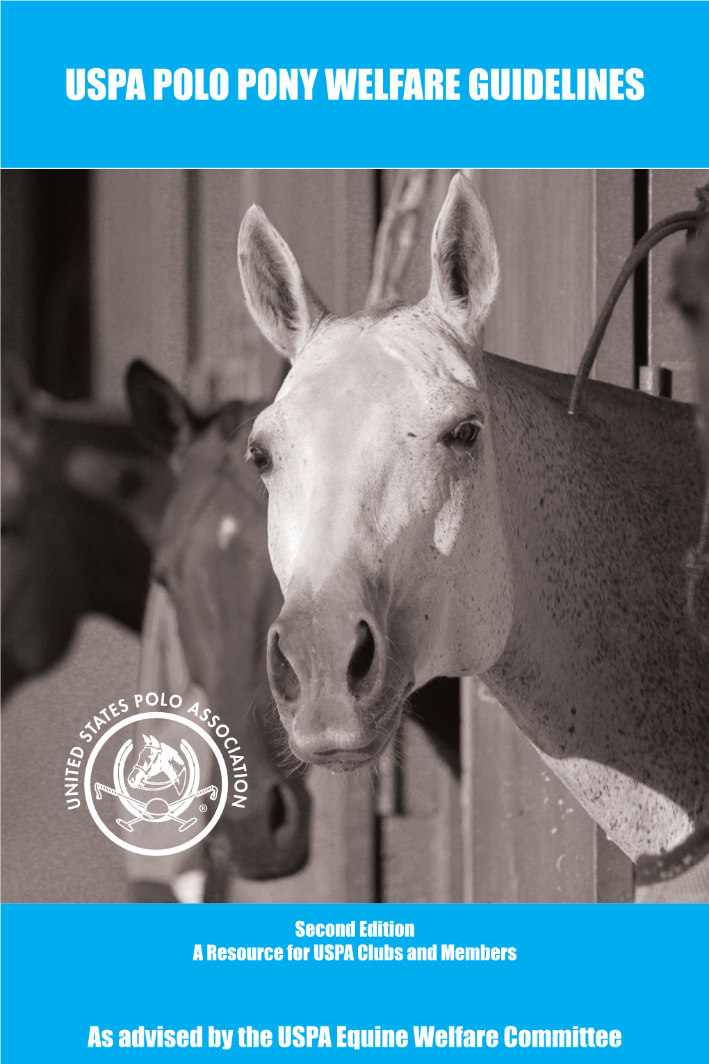 Uspa Polo Pony Welfare Guidelines