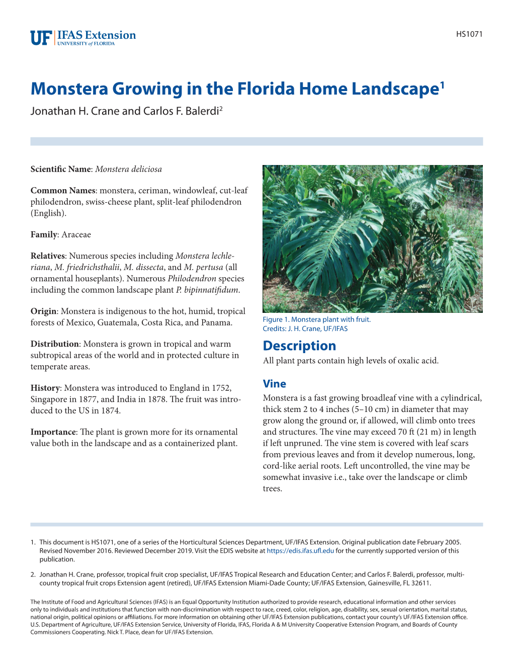 Monstera Growing in the Florida Home Landscape1 Jonathan H