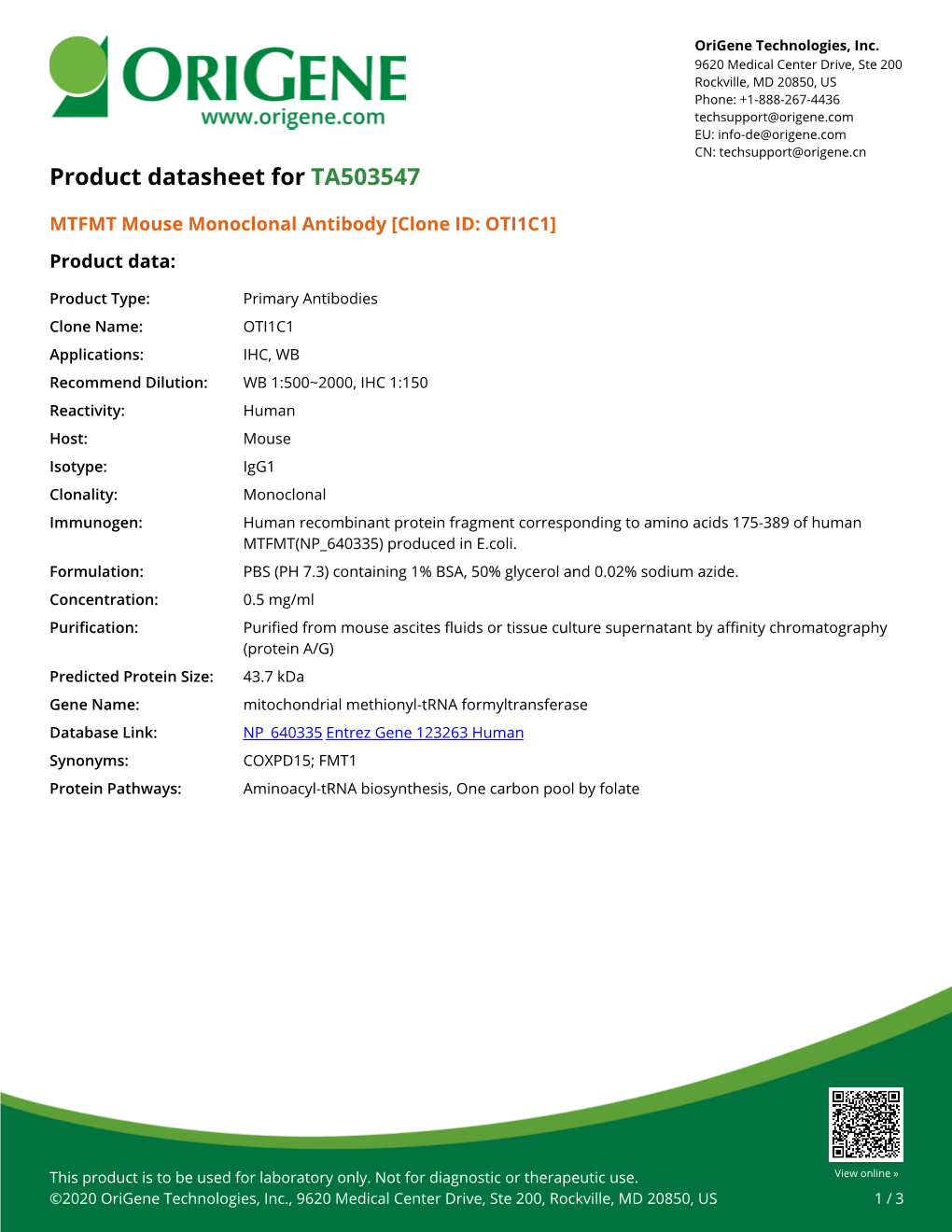 MTFMT Mouse Monoclonal Antibody [Clone ID: OTI1C1] – TA503547