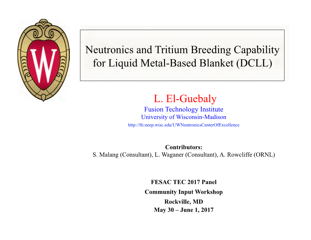 Neutronics and Tritium Breeding Capability for Liquid Metal-Based Blanket (DCLL)