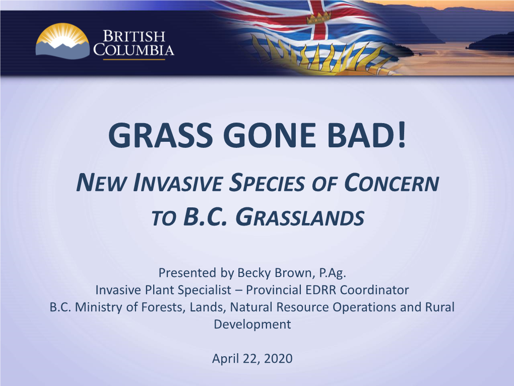 Grass Gone Bad! New Invasive Species of Concern to B.C