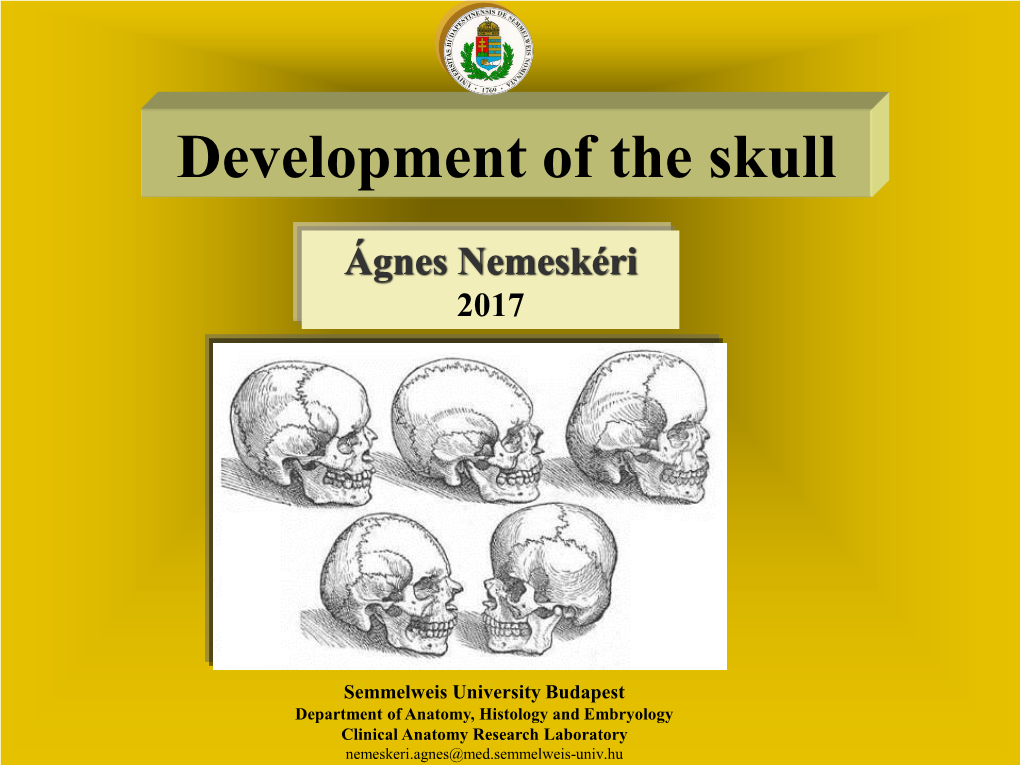 Development of the Skull