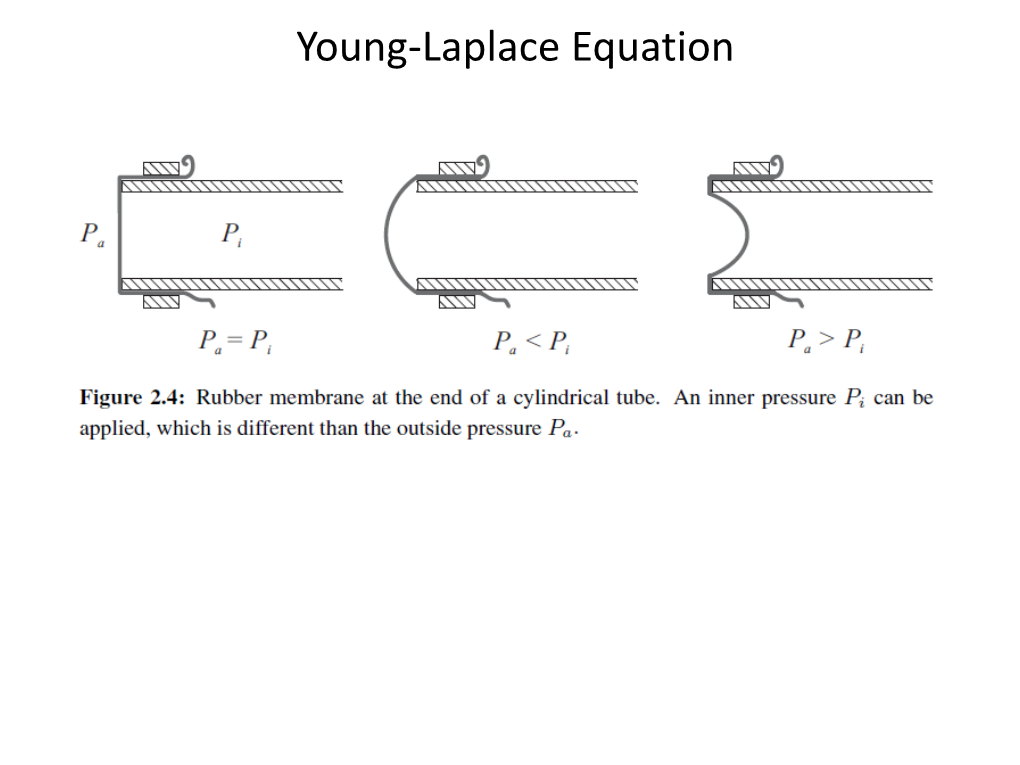 Young-Laplace Equation Young-Laplace Equation Young-Laplace Equation Young-Laplace Equation Capillary Rise Maximal Bubble Pressure Method Capillary Condensation