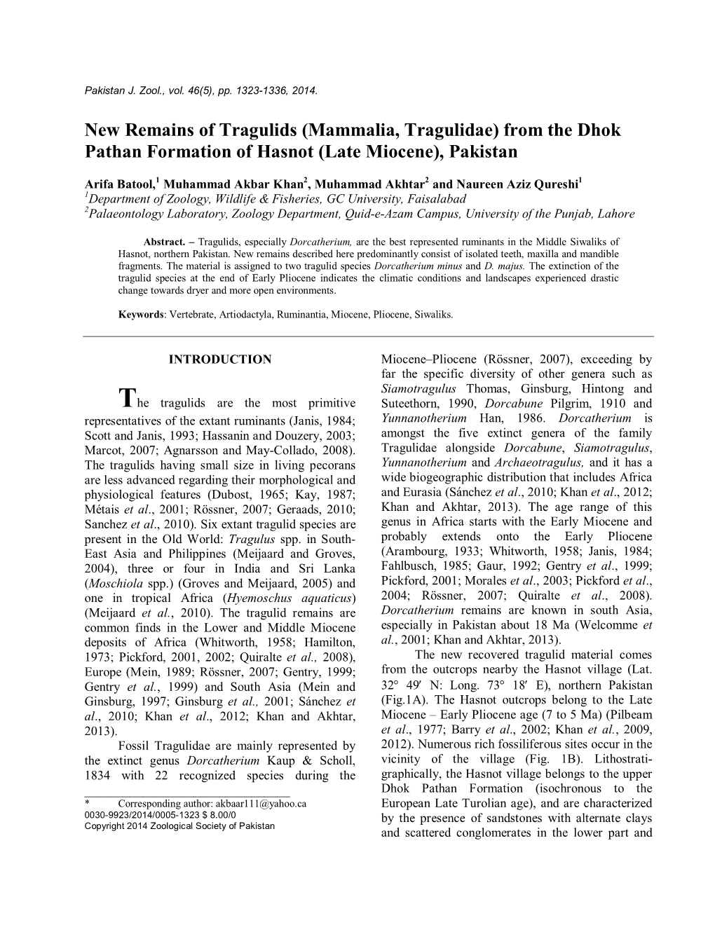 New Remains of Tragulids (Mammalia, Tragulidae) from the Dhok Pathan Formation of Hasnot (Late Miocene), Pakistan