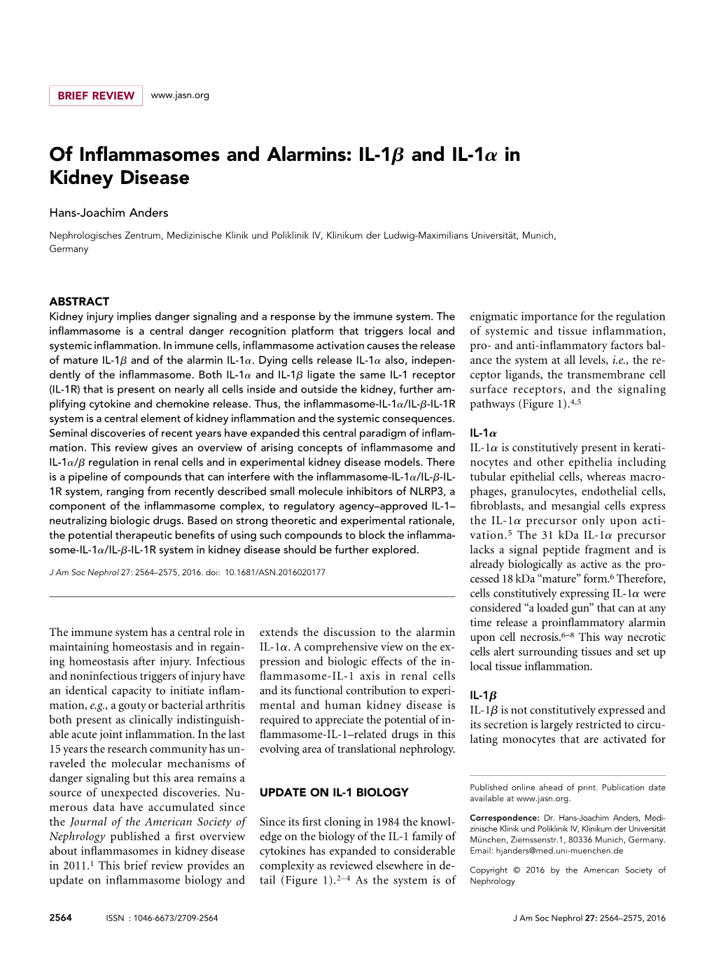 Of Inflammasomes and Alarmins: IL-1B and IL-1A in Kidney Disease