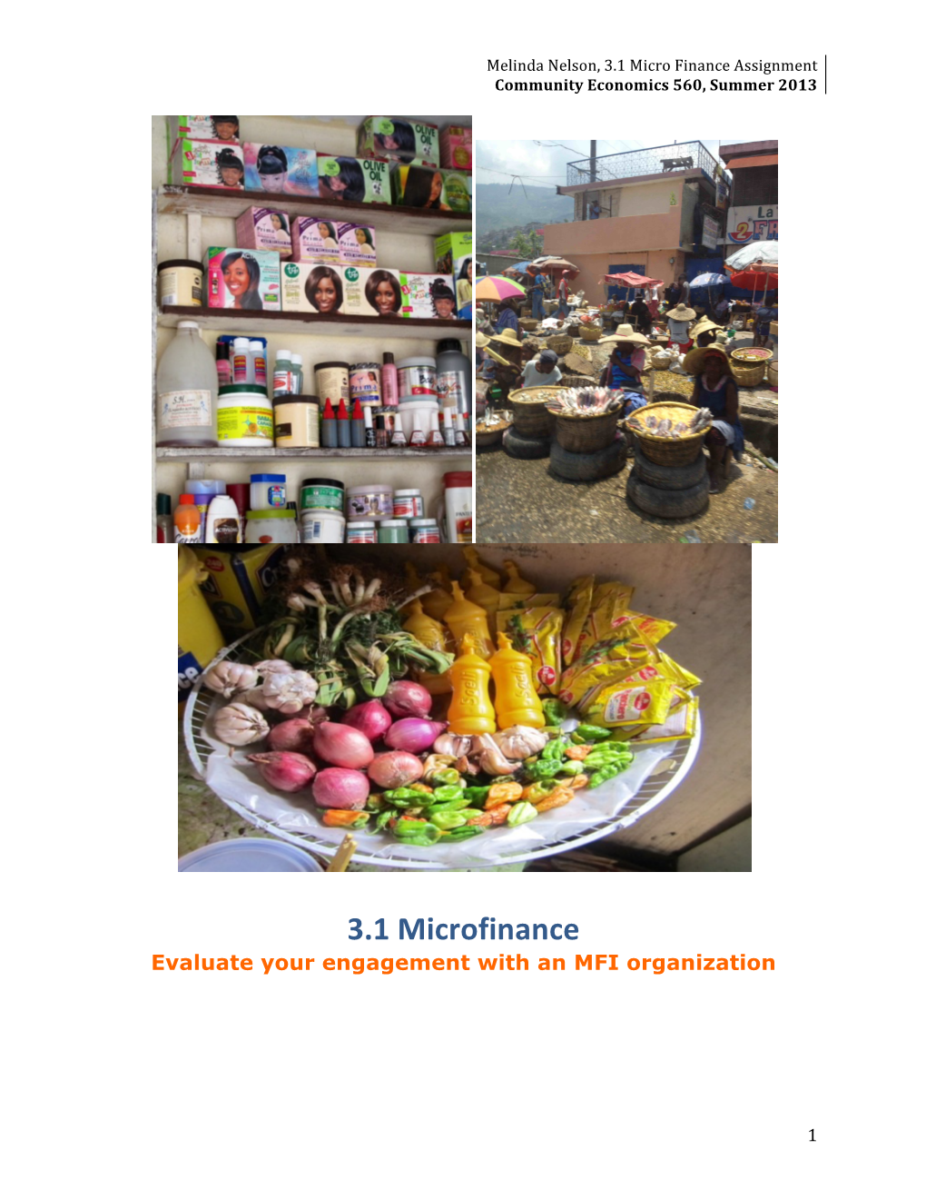 3.1 Microfinance Evaluate Your Engagement with an MFI Organization