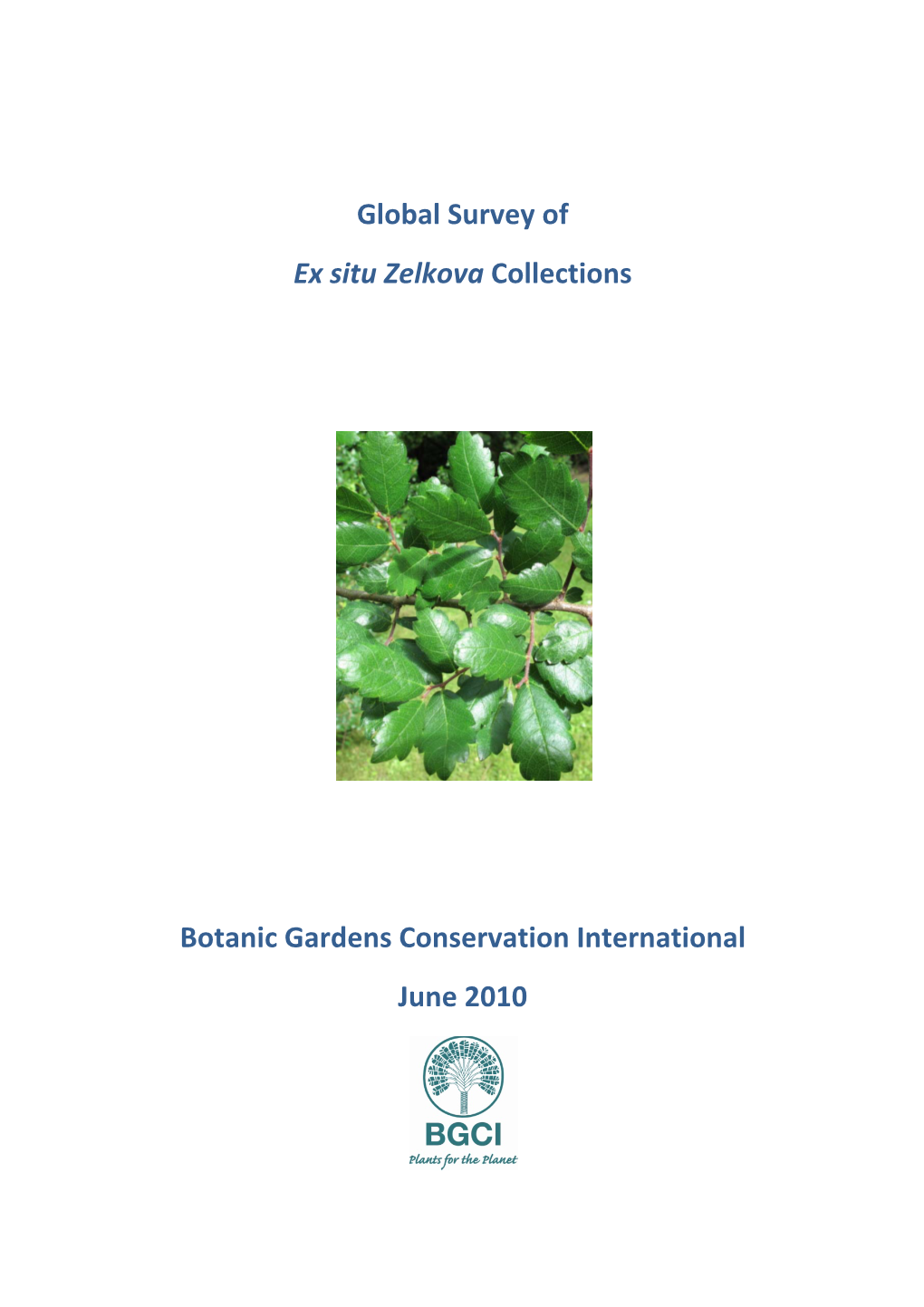 Global Survey of Ex Situ Zelkova Collections