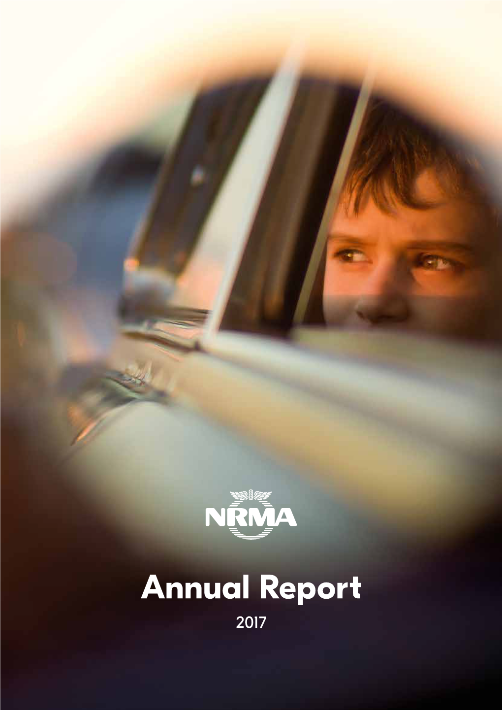 Annual Report 2017 Contents