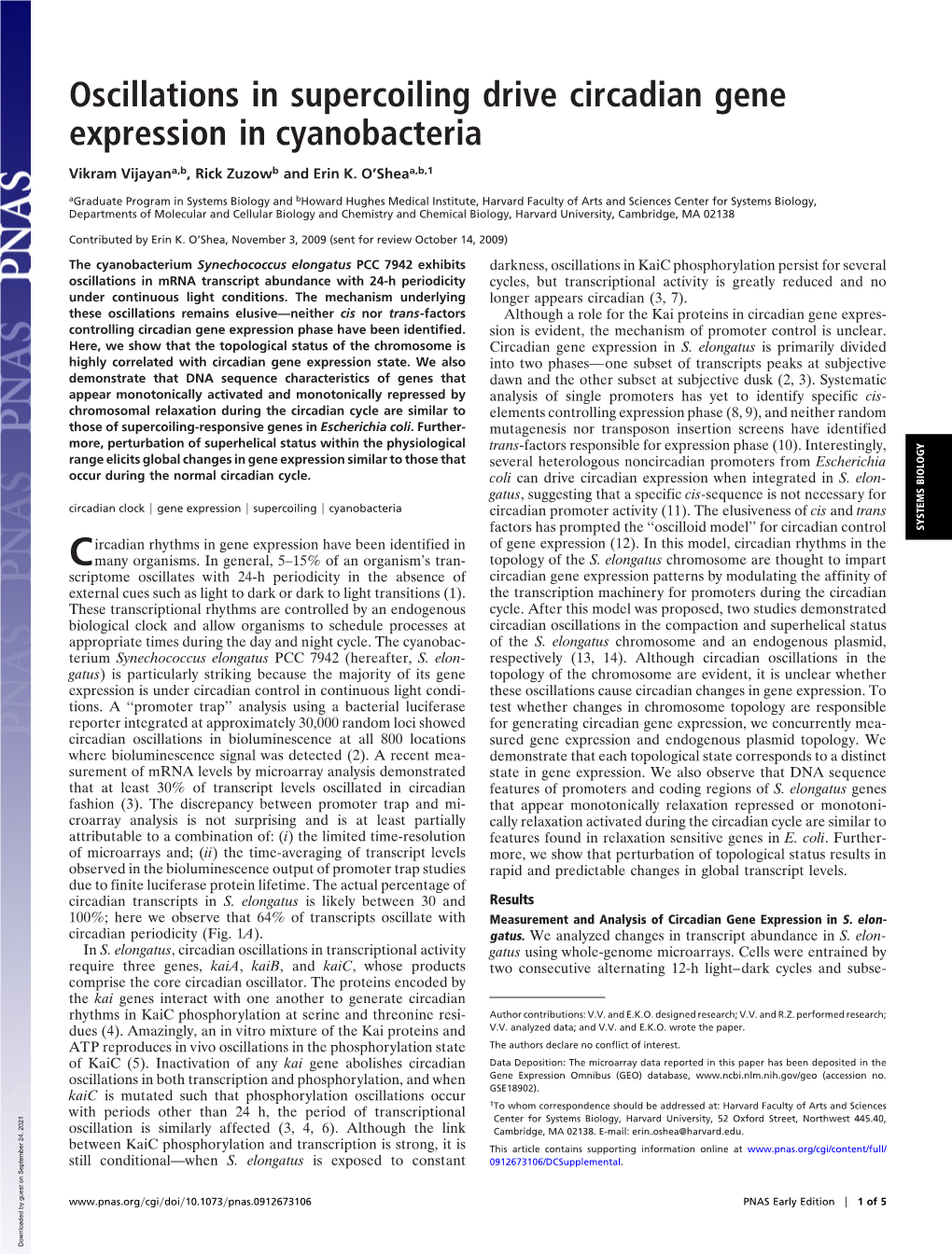 Oscillations in Supercoiling Drive Circadian Gene Expression in Cyanobacteria