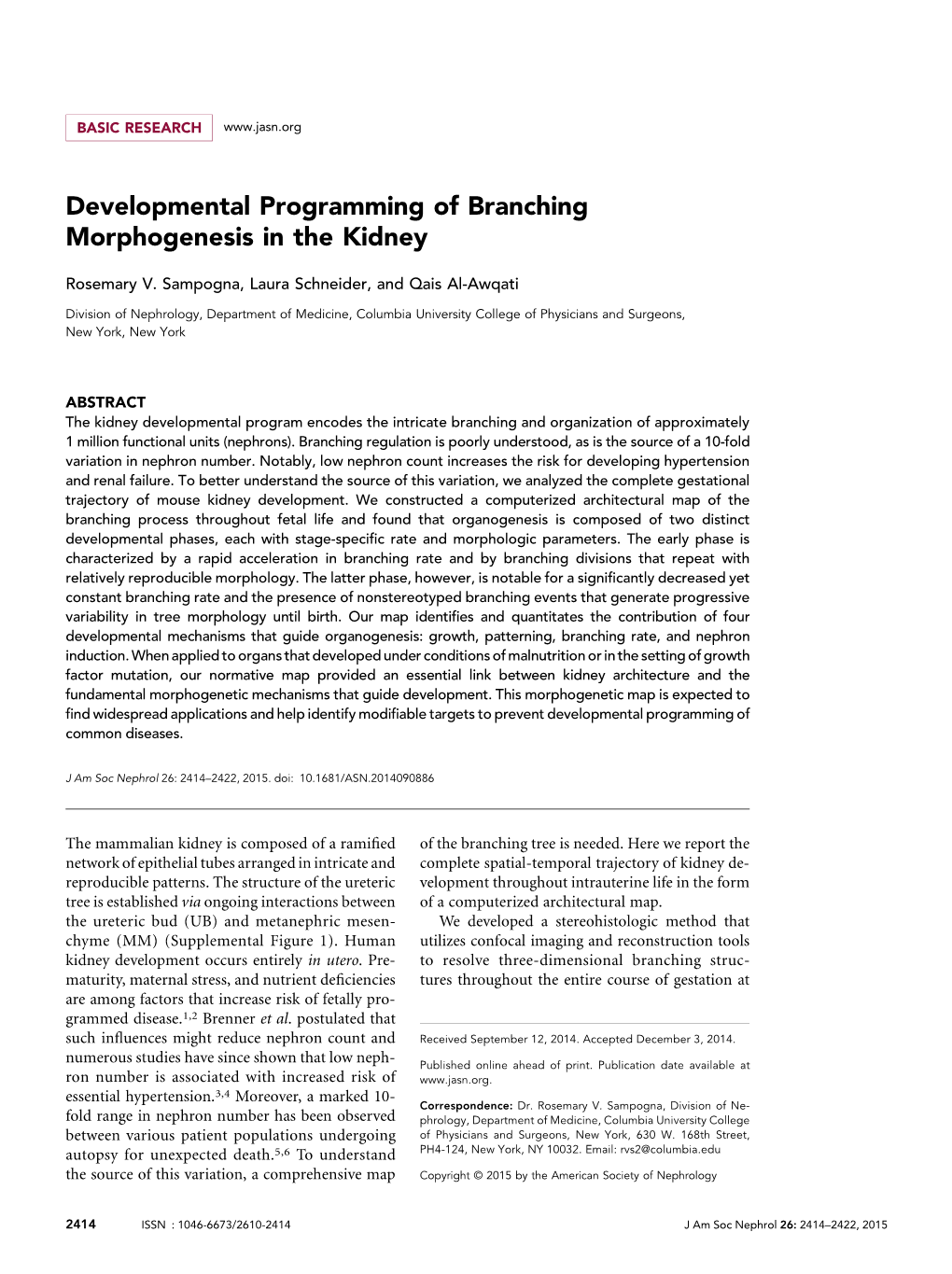 Developmental Programming of Branching Morphogenesis in the Kidney