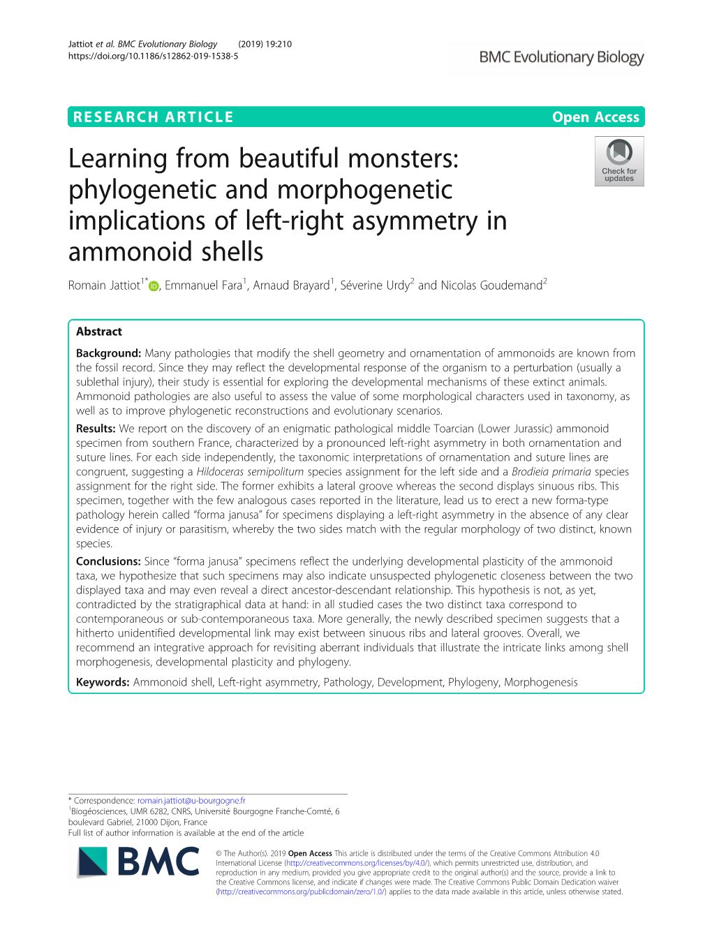 Phylogenetic and Morphogenetic Implications of Left-Right Asymmetry