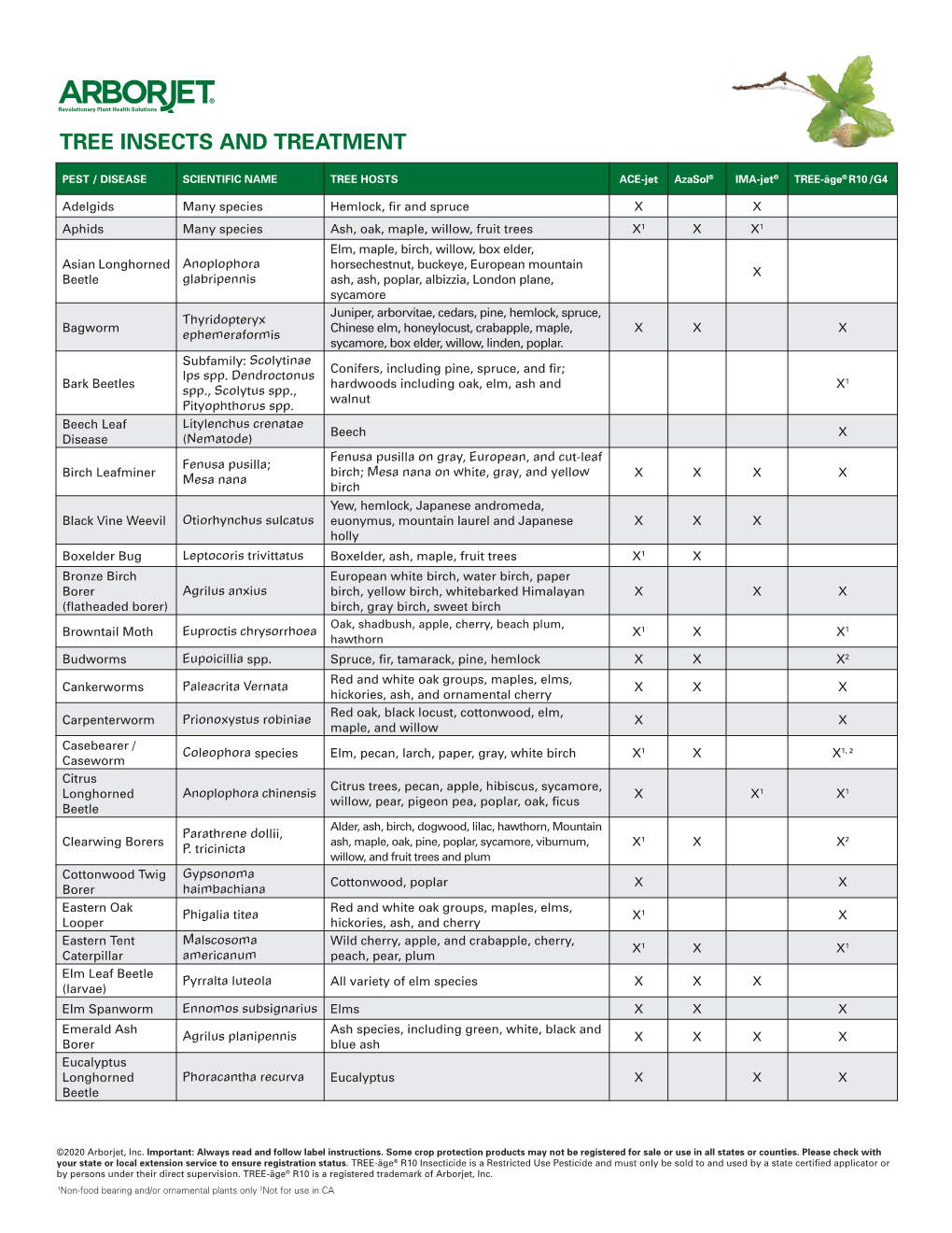 Tree Insects and Treatment