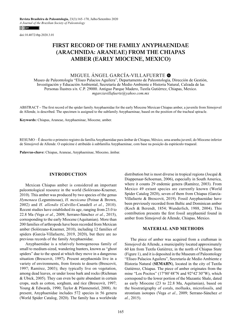 First Record of the Family Anyphaenidae (Arachnida: Araneae) from the Chiapas Amber (Early Miocene, Mexico)