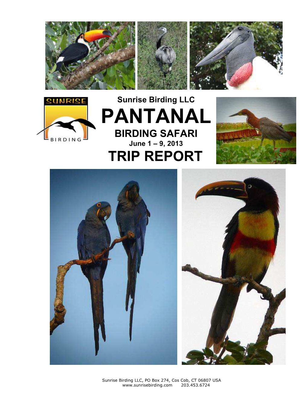 PANTANAL BIRDING SAFARI June 1 – 9, 2013