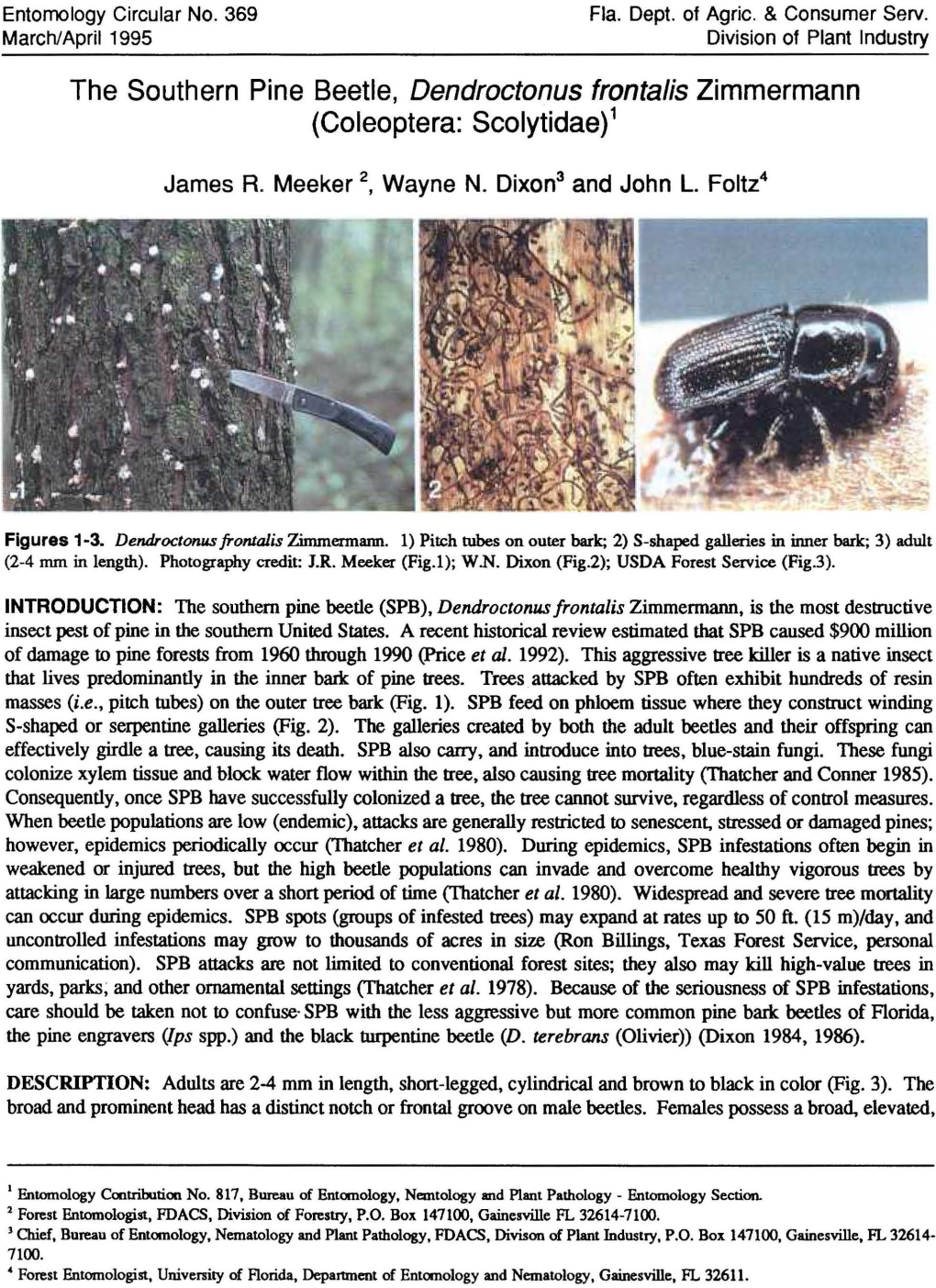 Southern Pine Beetle (SPB), Dendroctonus Frontalis Zimmermann, Is the Most Destructive Insect Pest of Pine in the Southern United States